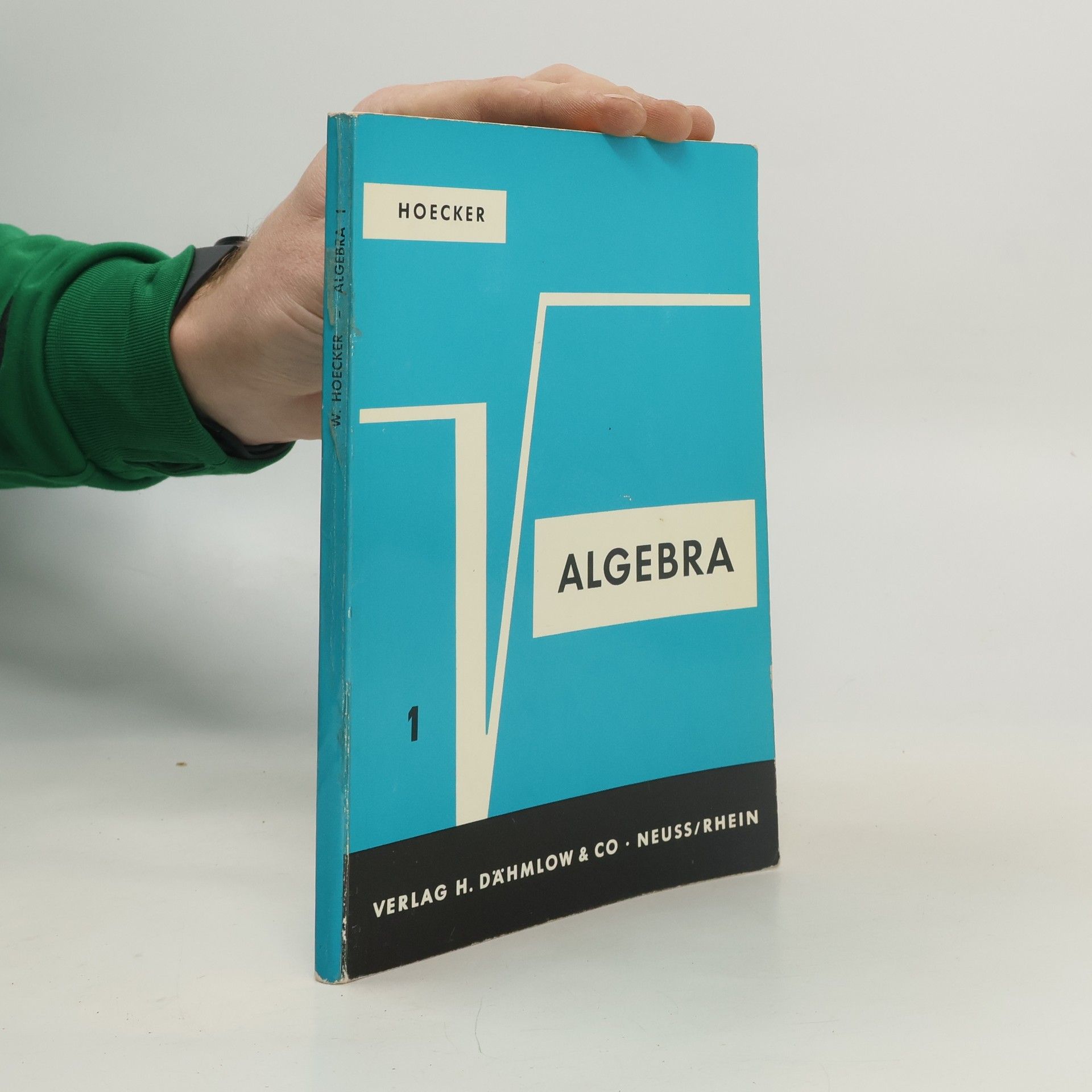 W. Hoecker Algebra 1