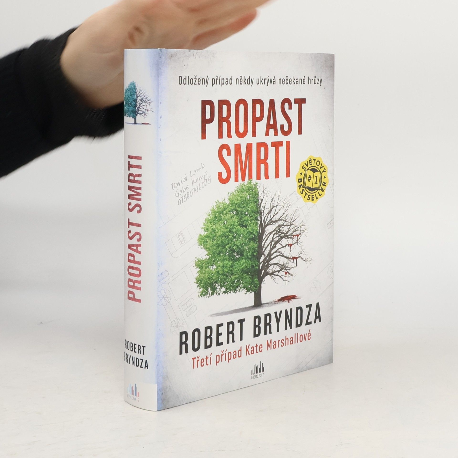 Robert Bryndza Propast smrti