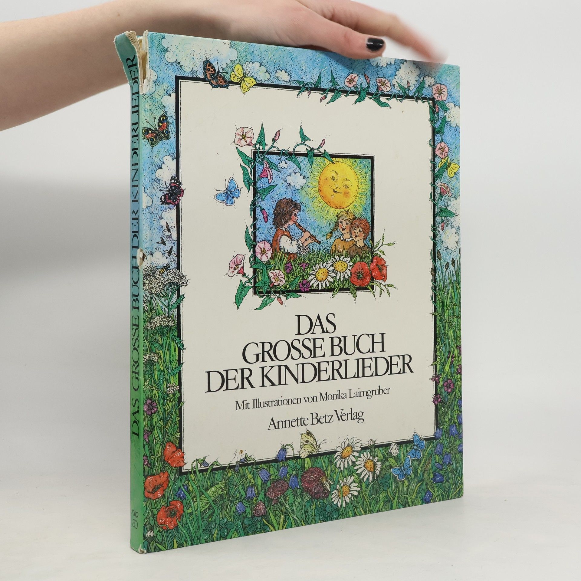 Das grosse Buch der Kinderlieder