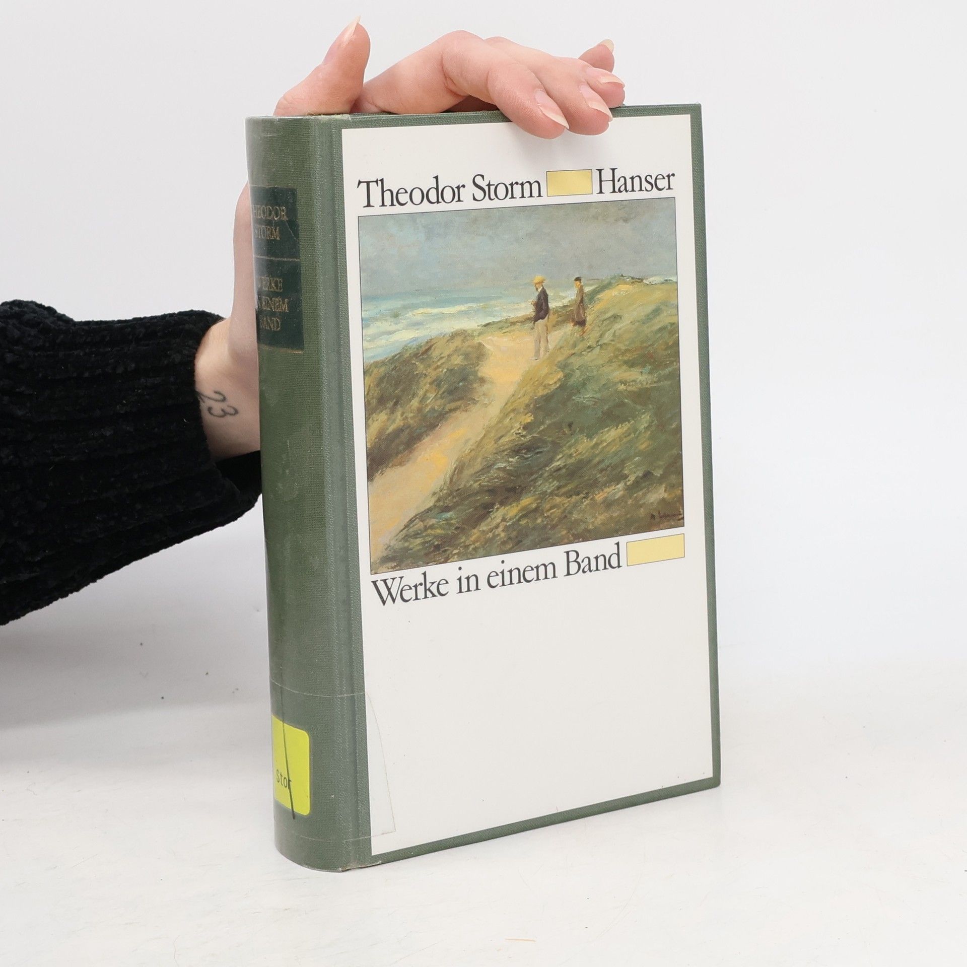 Theodor Storm Werke in einem Band
