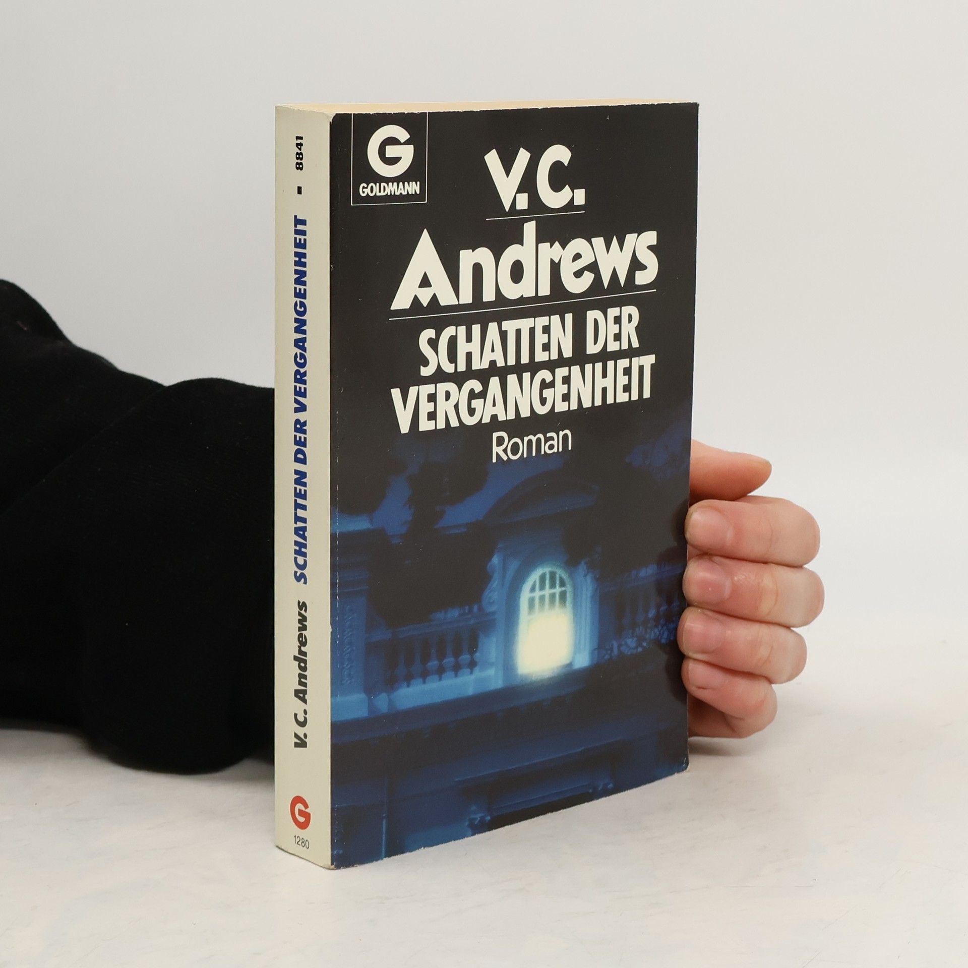 Schatten der Vergangenheit (doppelt ISBN)