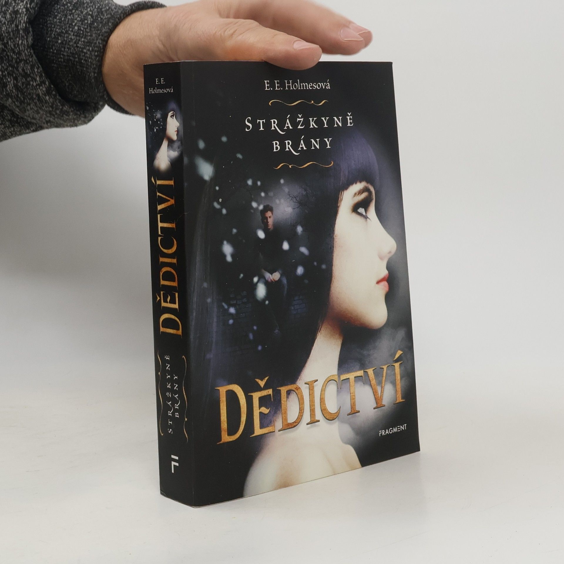 Strážkyně brány – Dědictví