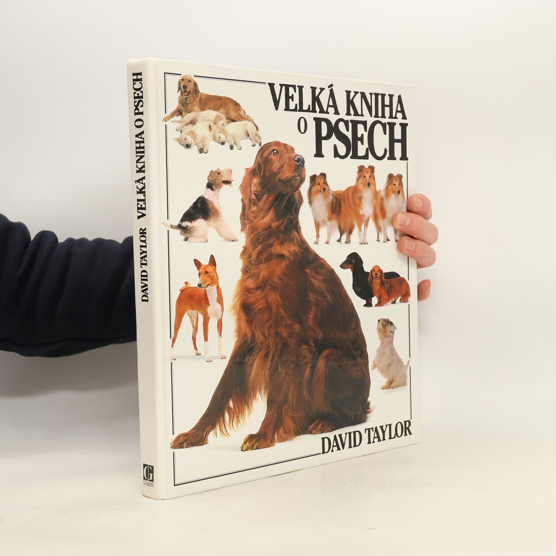 David Taylor Velká kniha o psech