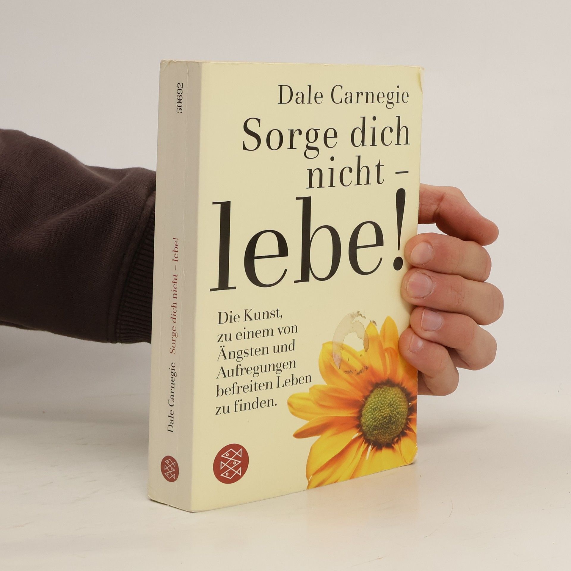 Dale Carnegie Sorge dich nicht - lebe!