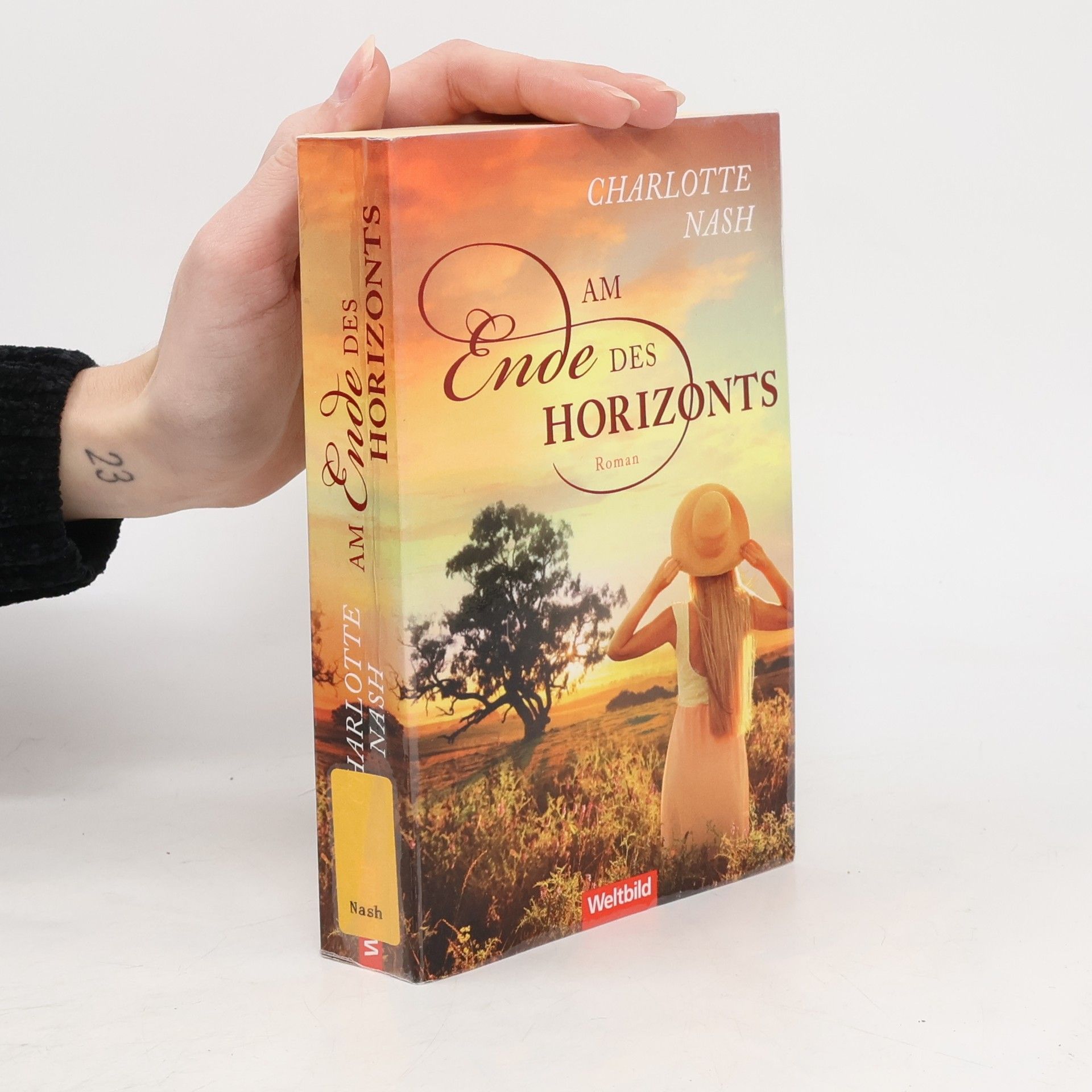 Charlotte Nash Am Ende des Horizonts