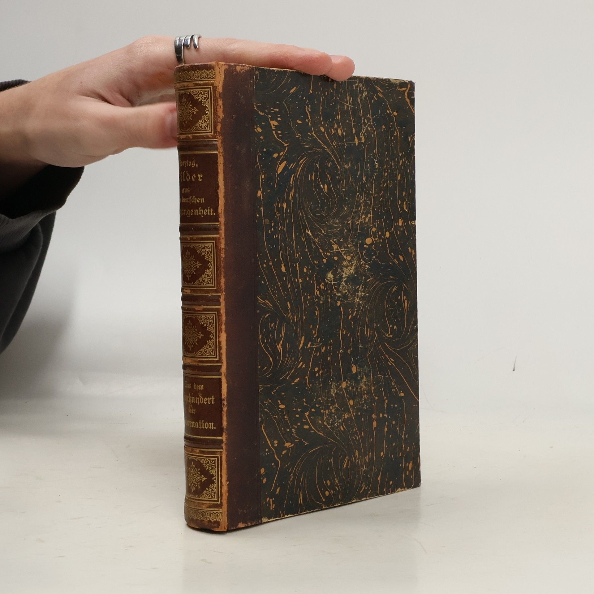 Gustav Freytag Bilder aus der deutschen Vergangenheit 2