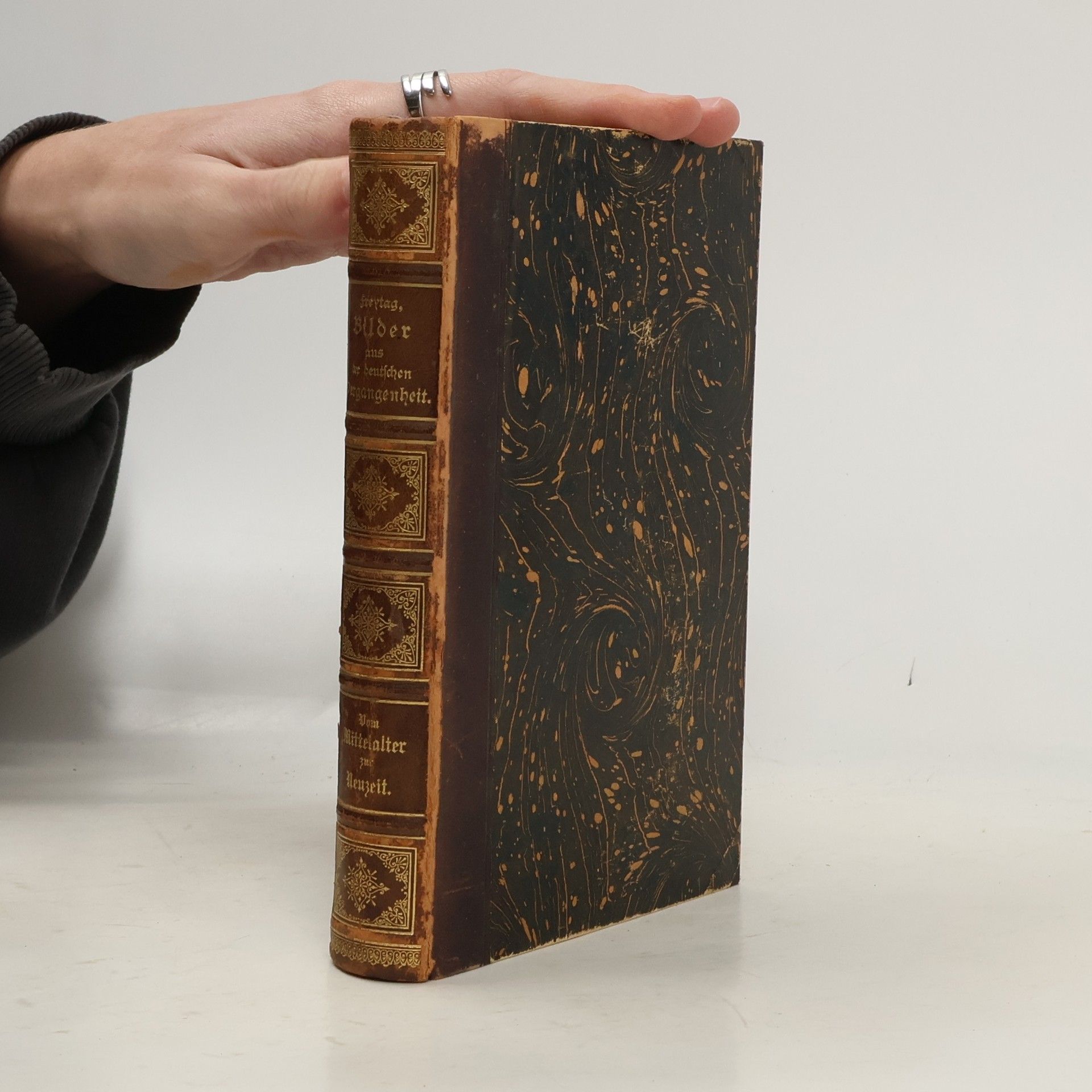 Gustav Freytag Bilder aus der deutschen Vergangenheit 2