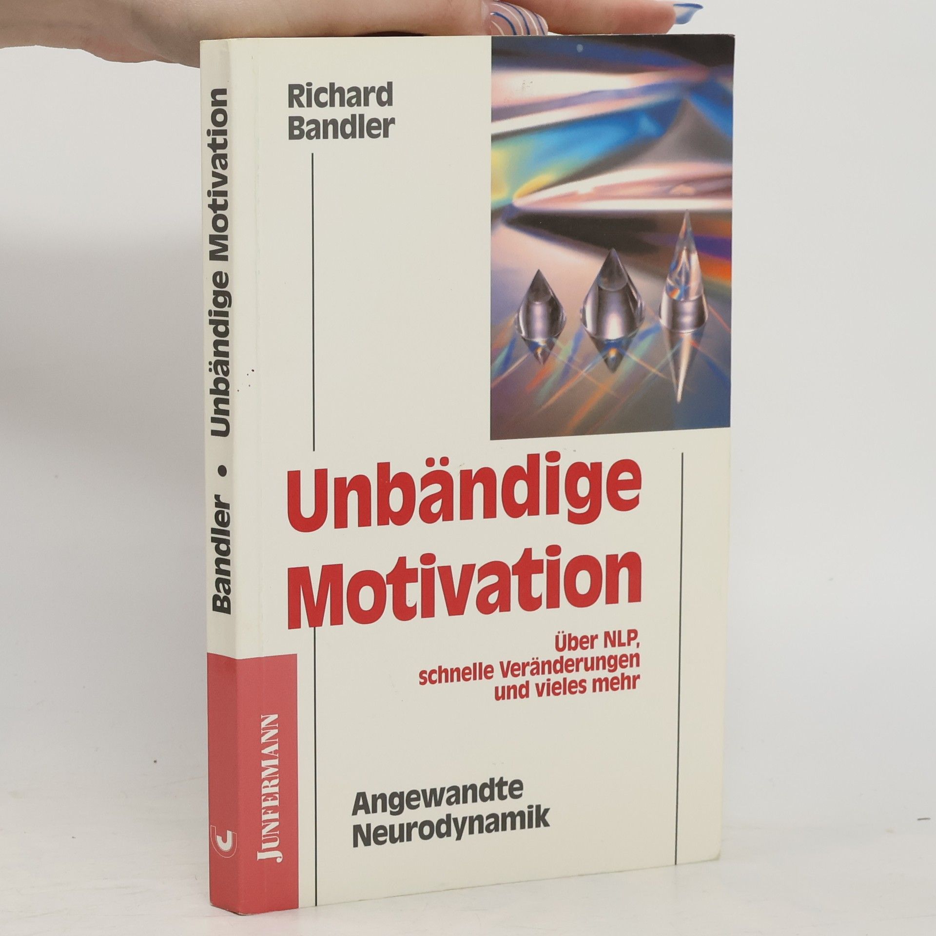 Richard Bandler Unbändige Motivation