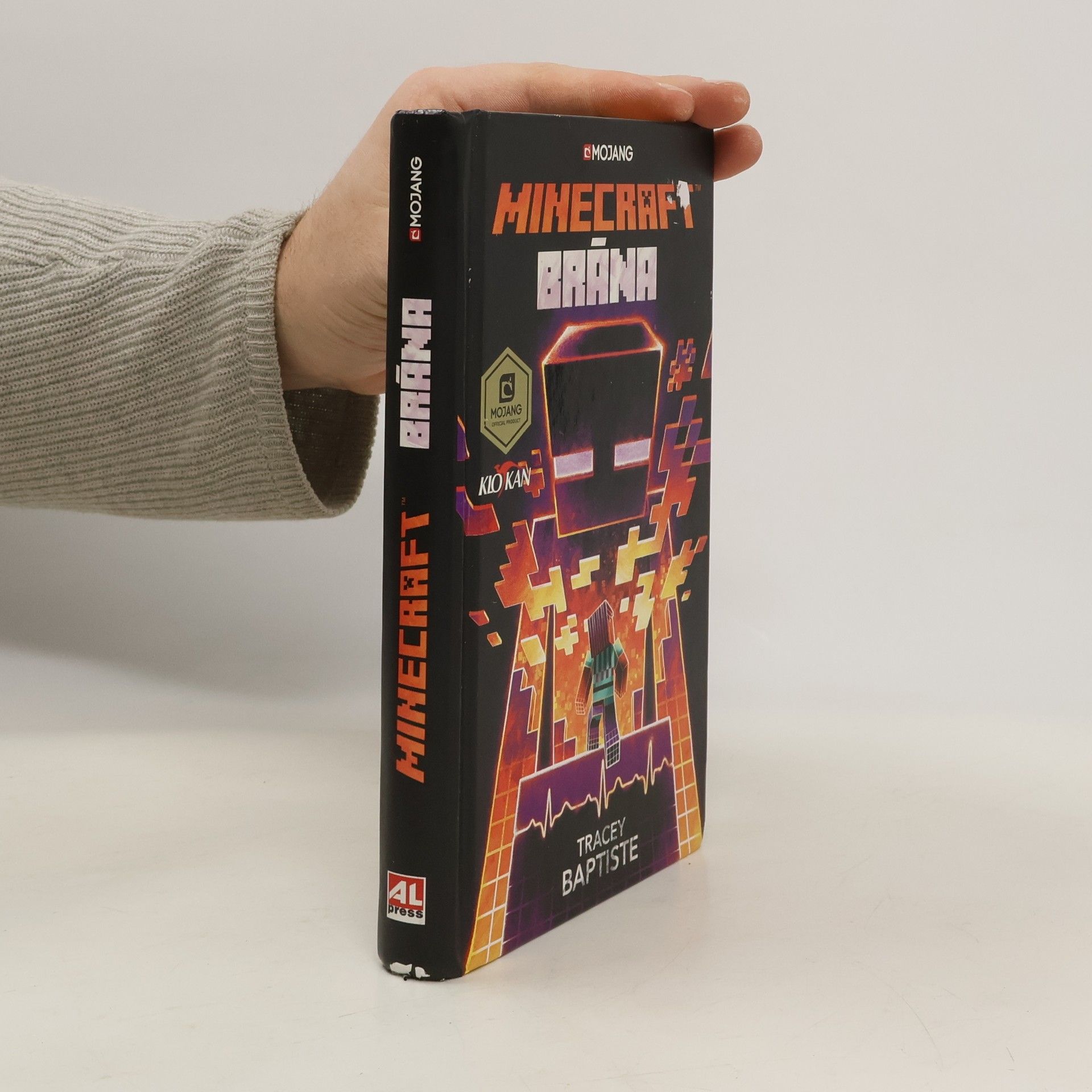 Tracey Baptiste Minecraft. Brána