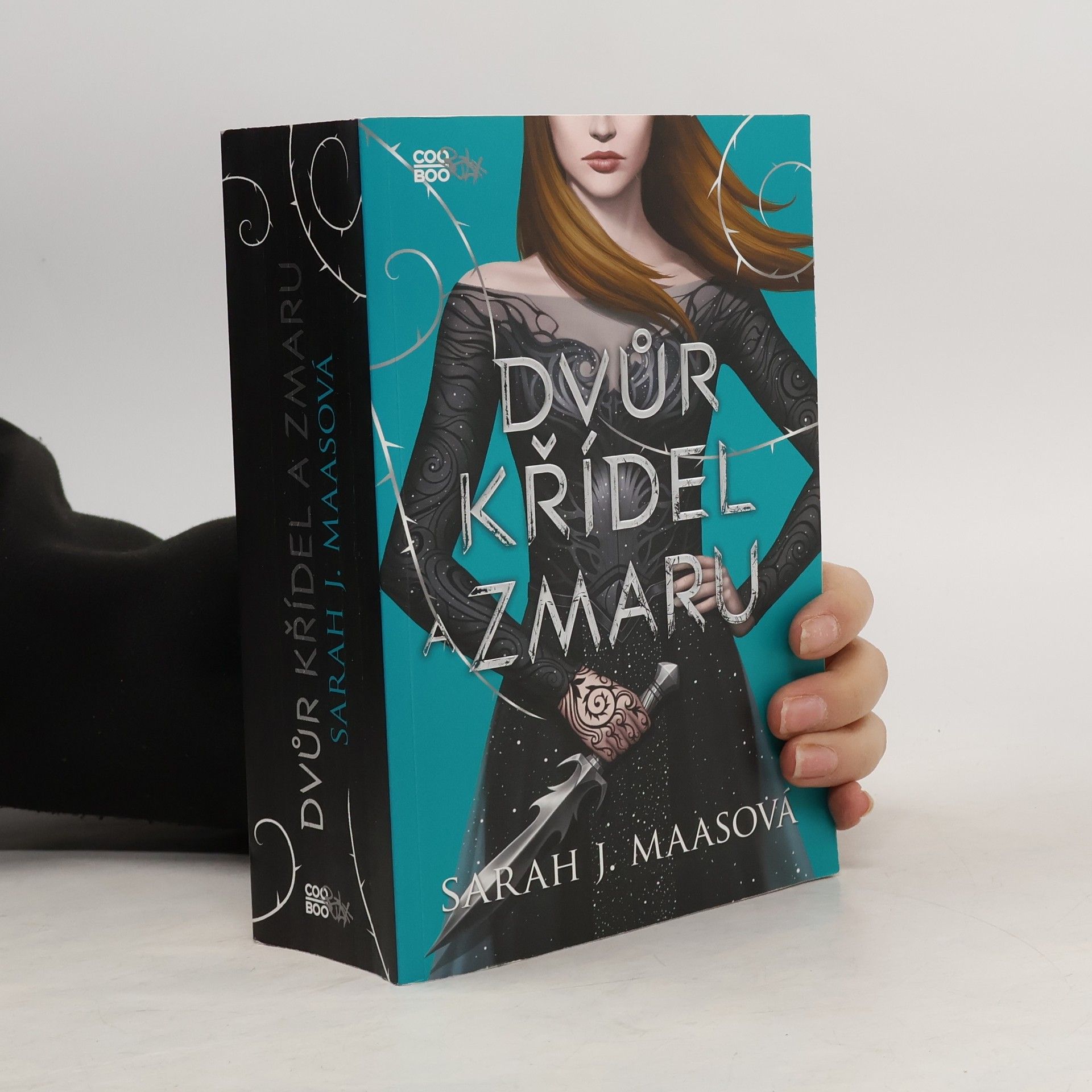 Sarah J. Maasová Dvůr křídel a zmaru