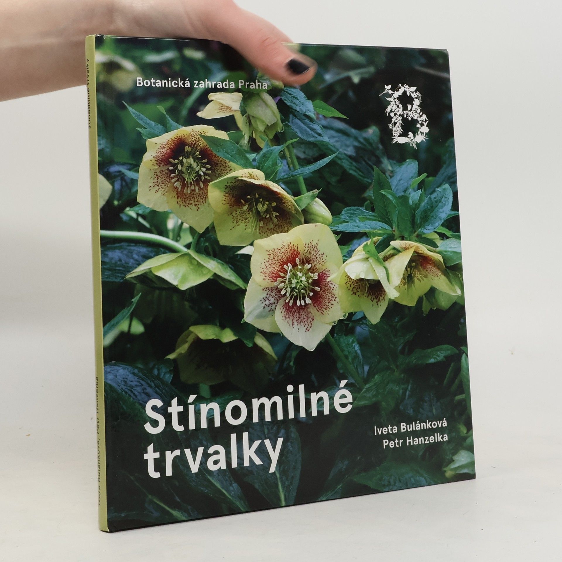 Stínomilné trvalky