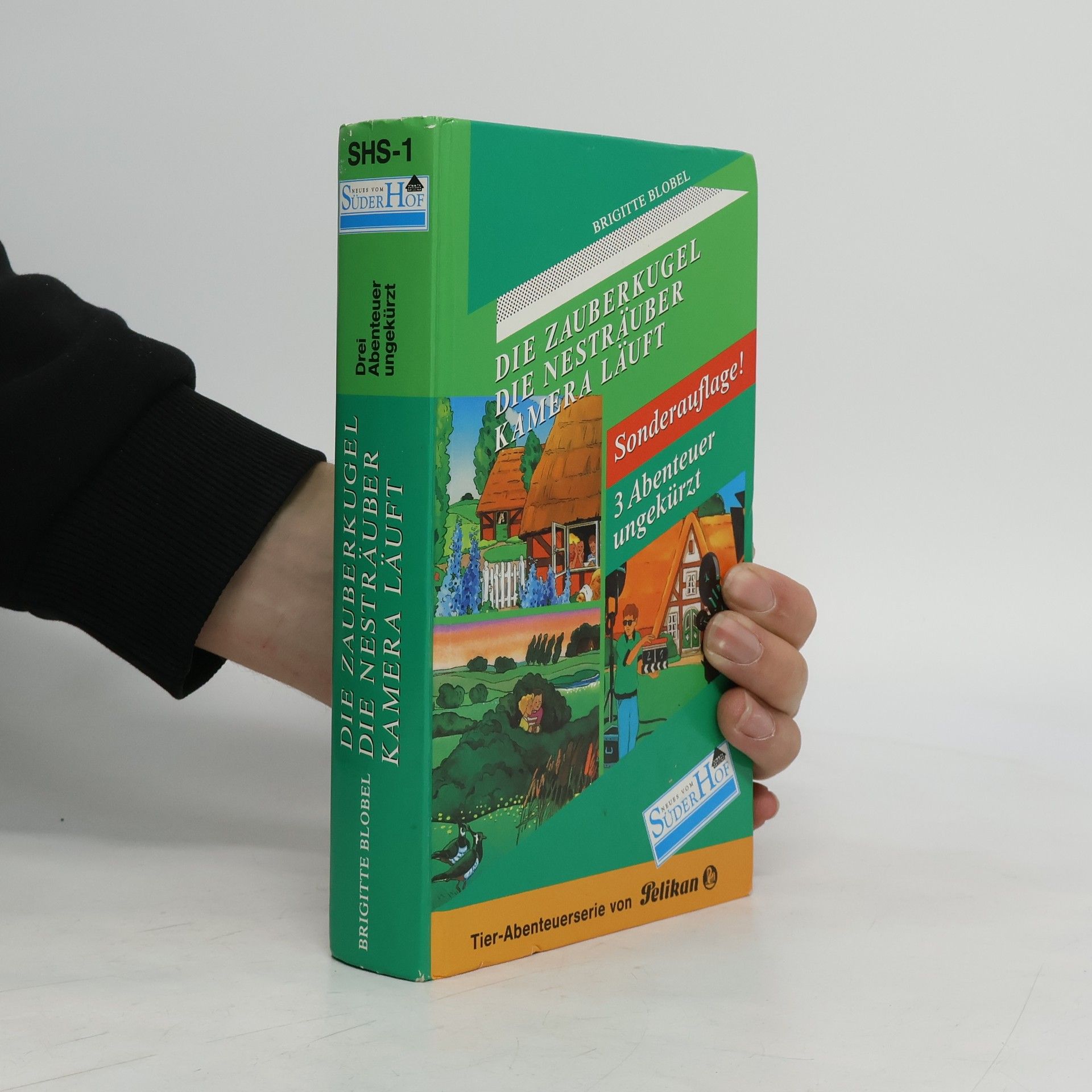 Brigitte Blobel Neues vom Süderhof