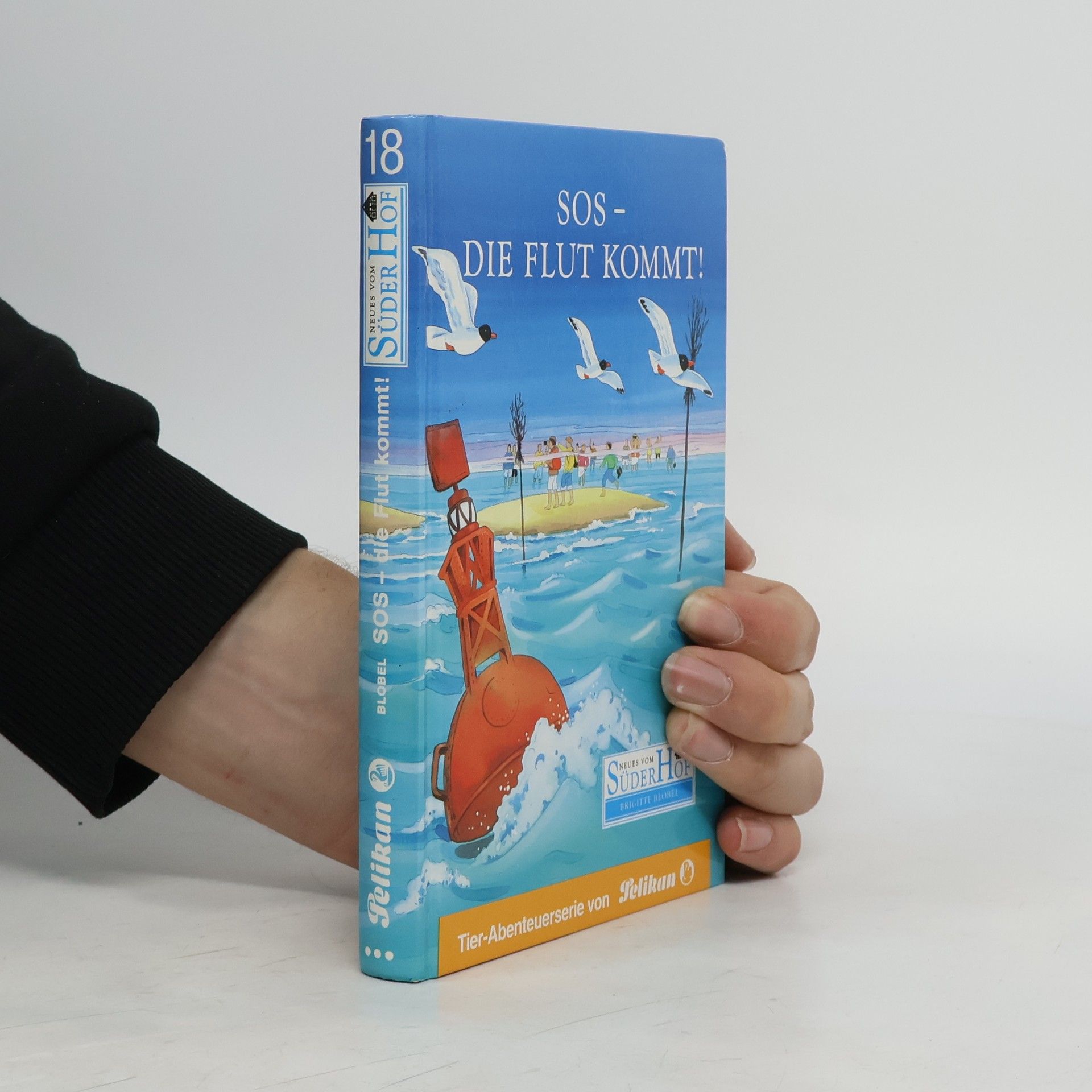 Neues vom Süderhof, Bd.18, SOS, die Flut kommt