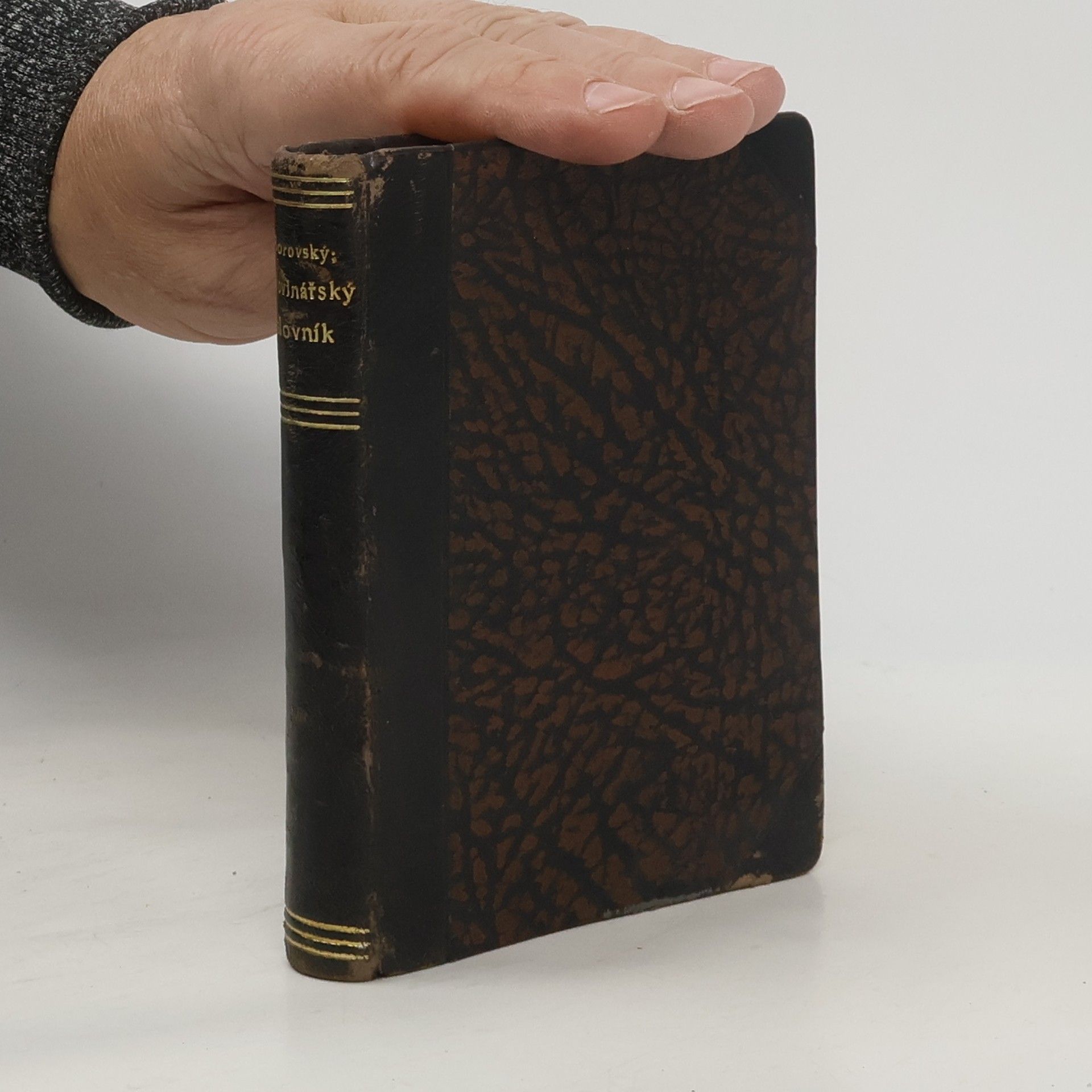 Fr. Borovský Ruth Novinářský slovník slov cizojazyčných