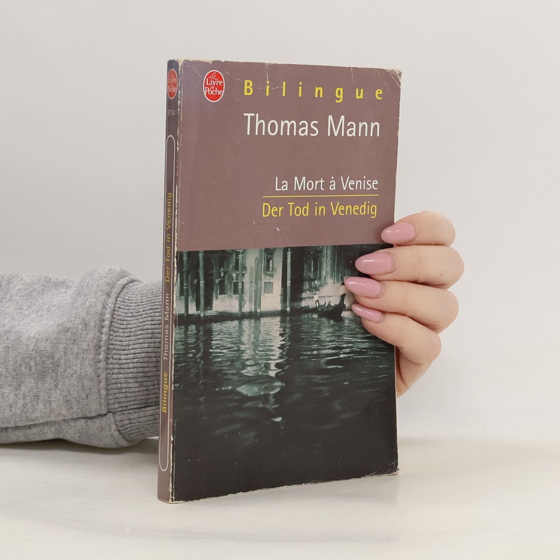 Thomas Mann Der Tod in Venedig
