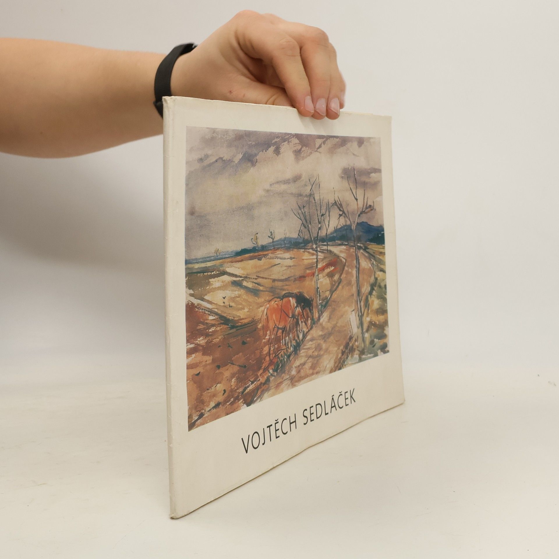 Collectif d'auteurs Vojtěch Sedláček