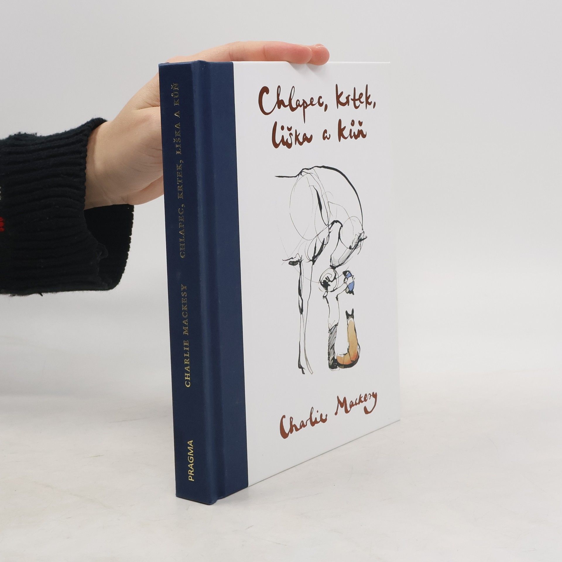 Charlie Mackesy Chlapec, krtek, liška a kůň