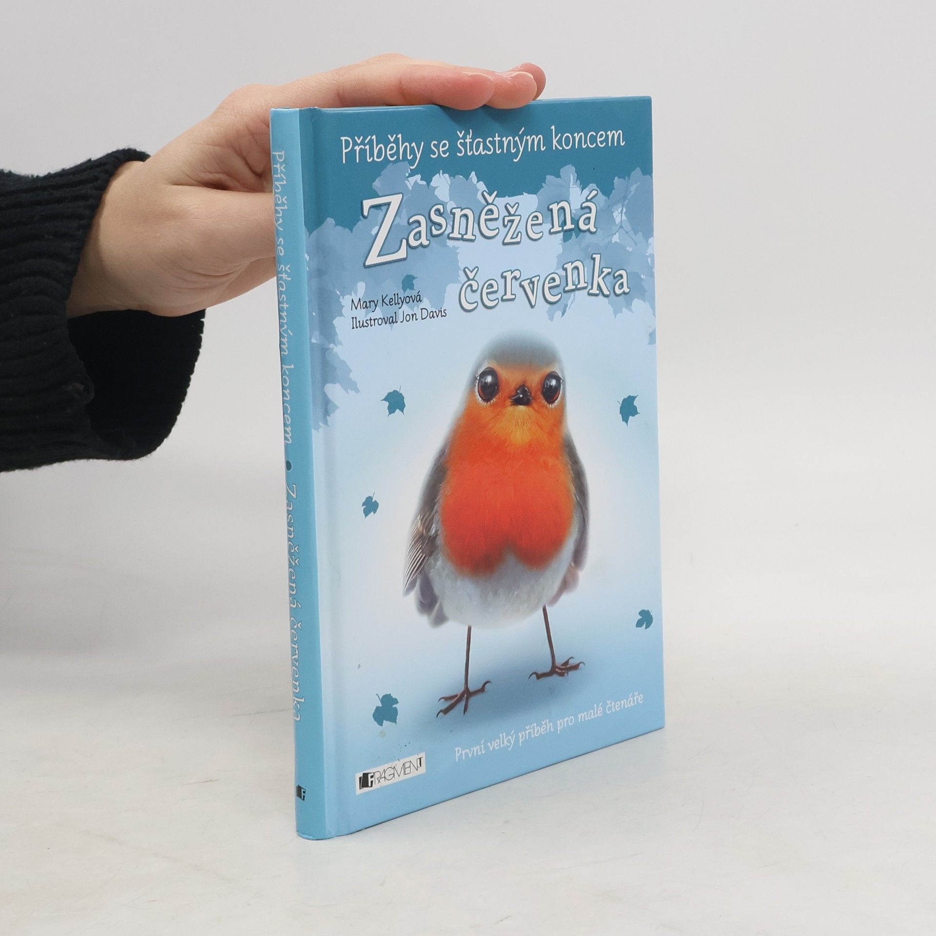 Mary Kelly Zasněžená červenka