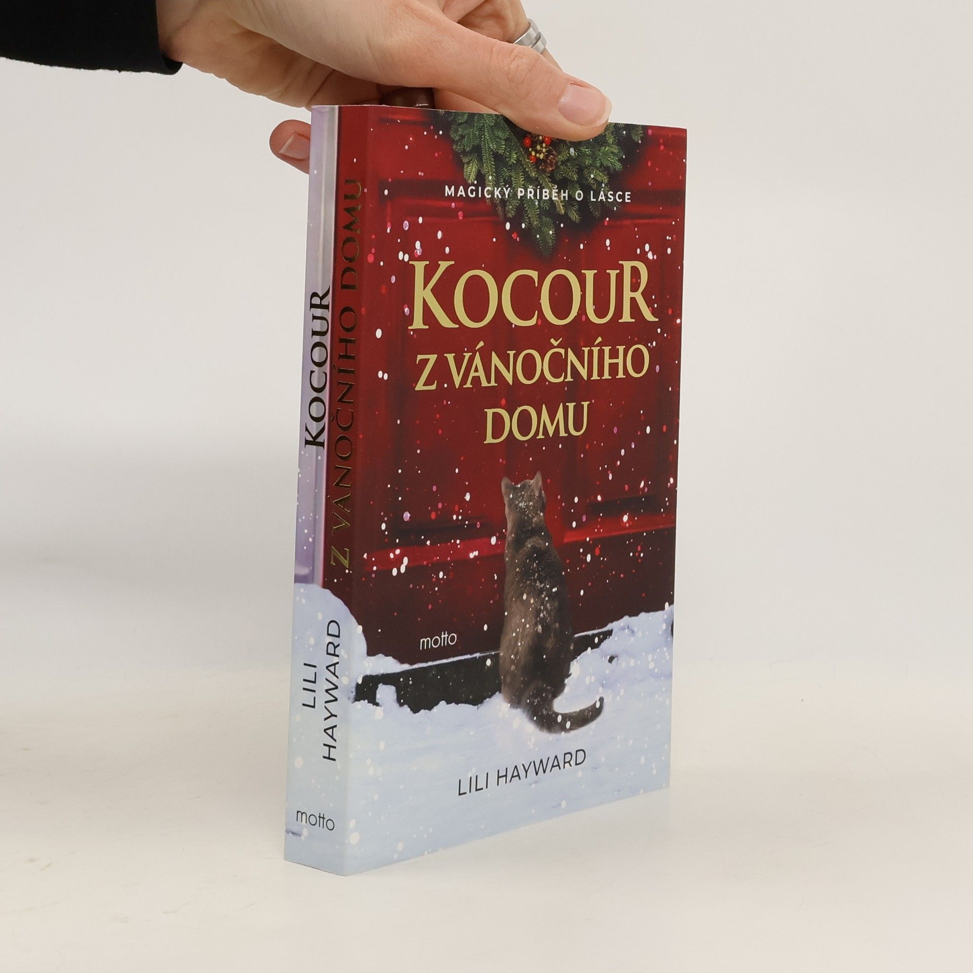 Lili Hayward Kocour z vánočního domu