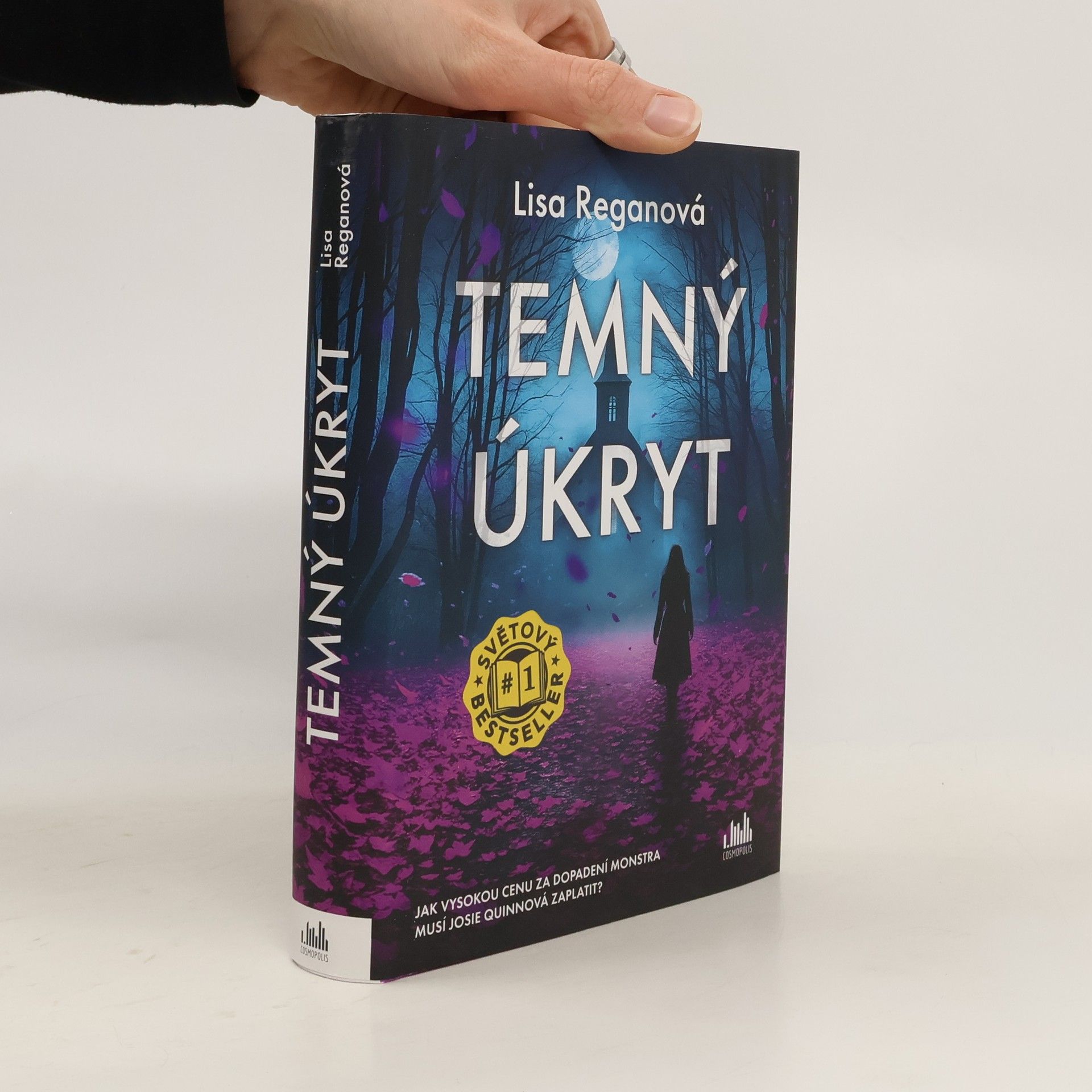 Lisa Regan Temný úkryt