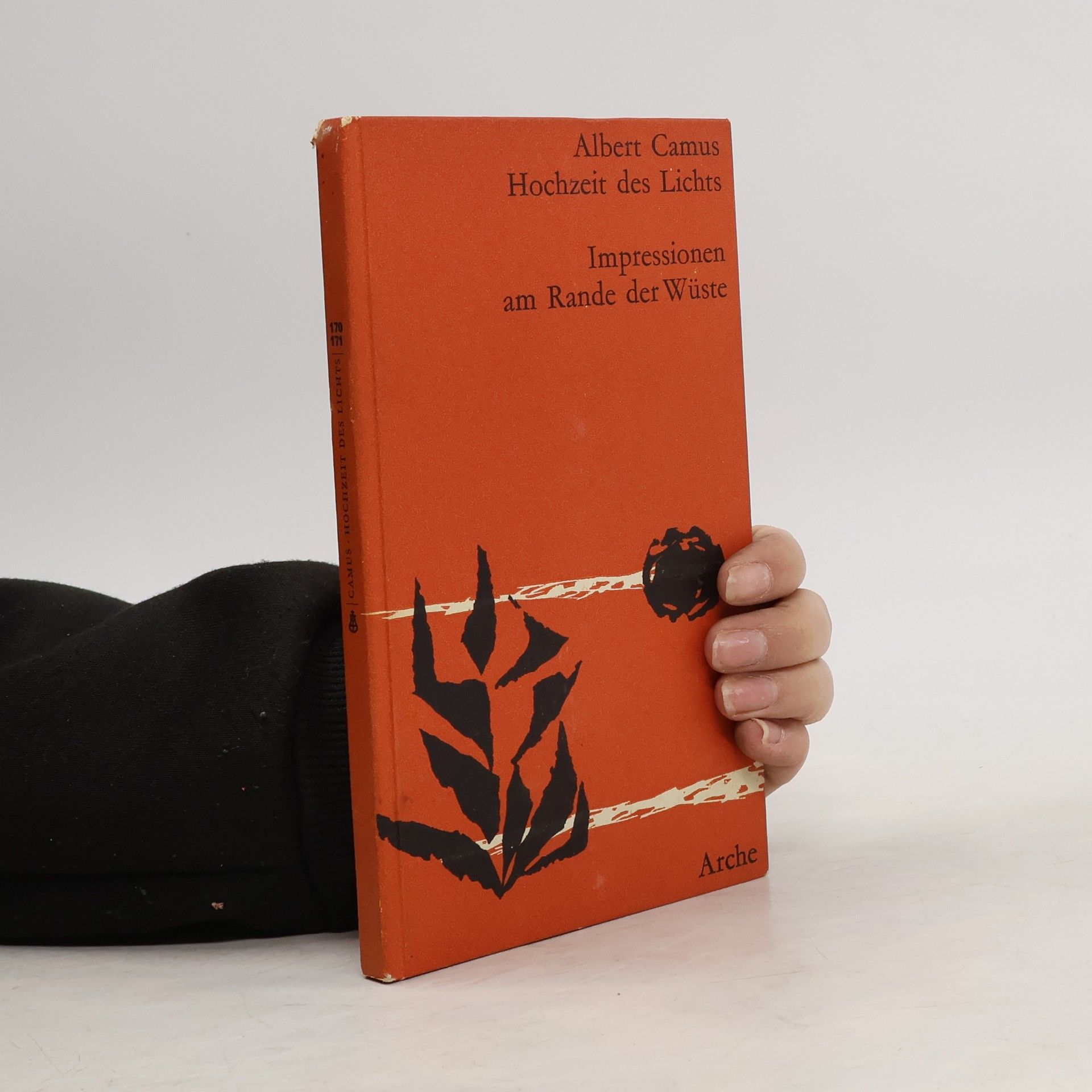 Albert Camus Impressionen am Rande der Wüste