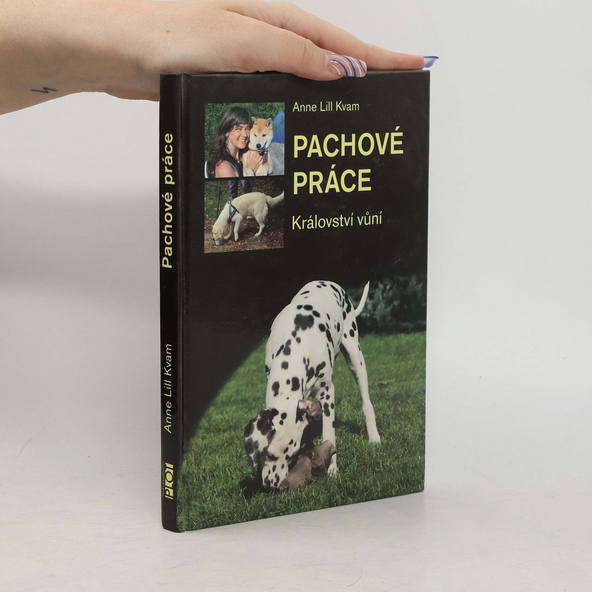 Anne Lill Kvam Pachové práce. Království vůní