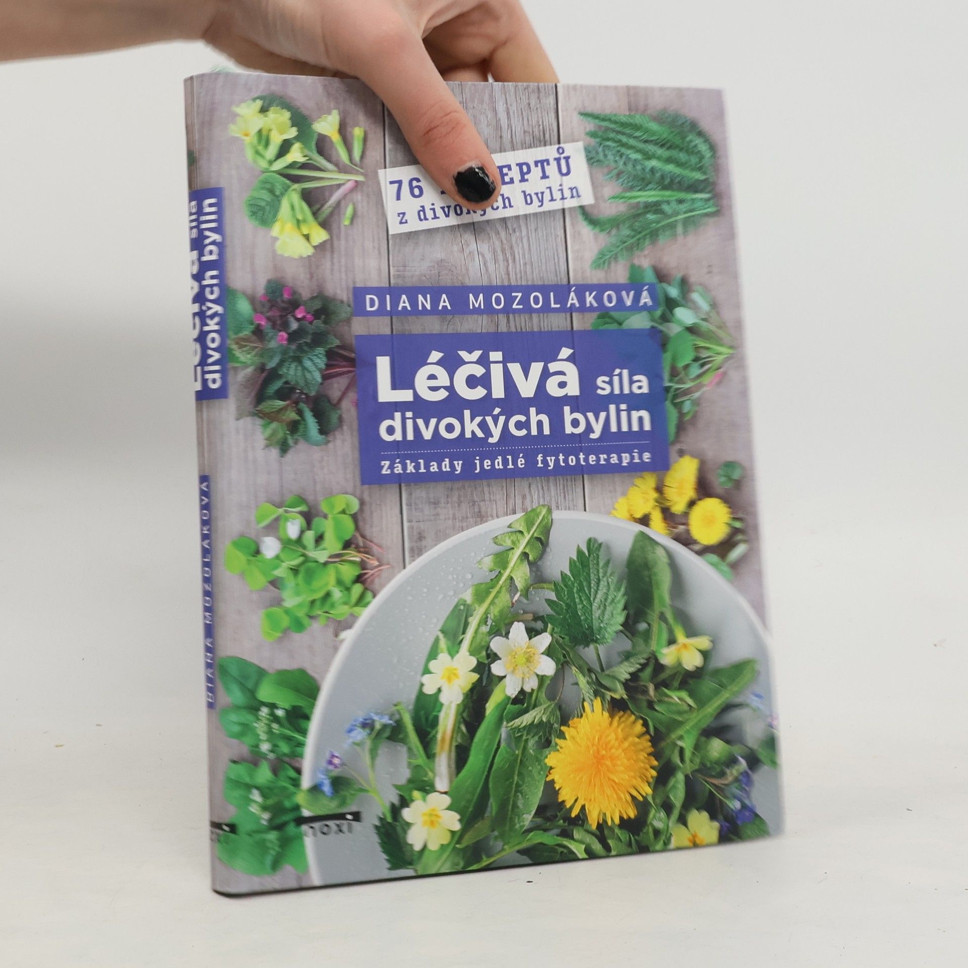 Diana Mozoláková Léčivá síla divokých bylin - Základy jedlé fytoterapie, 76 receptů z divokých bylin