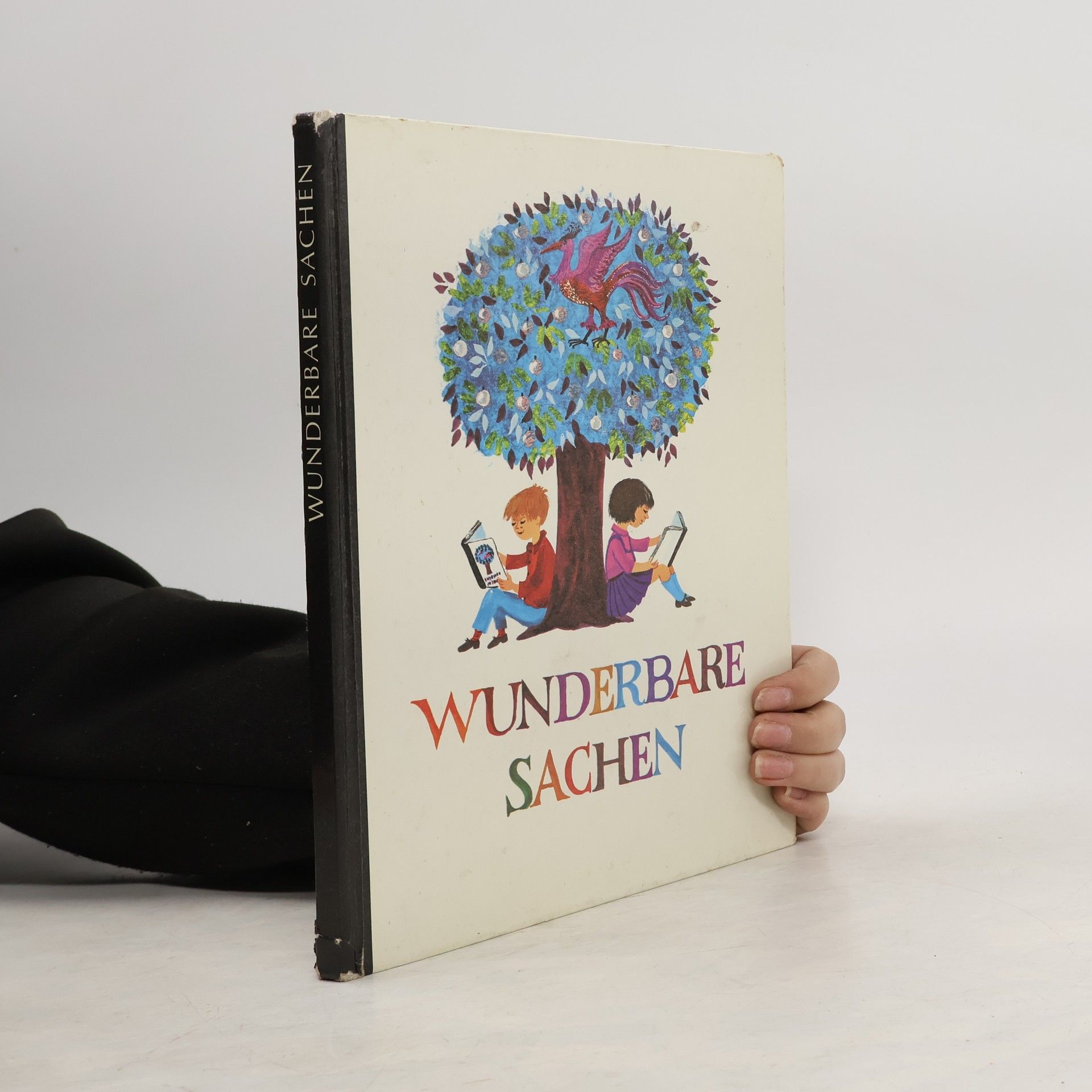 Autorenkollektiv Wunderbare Sachen