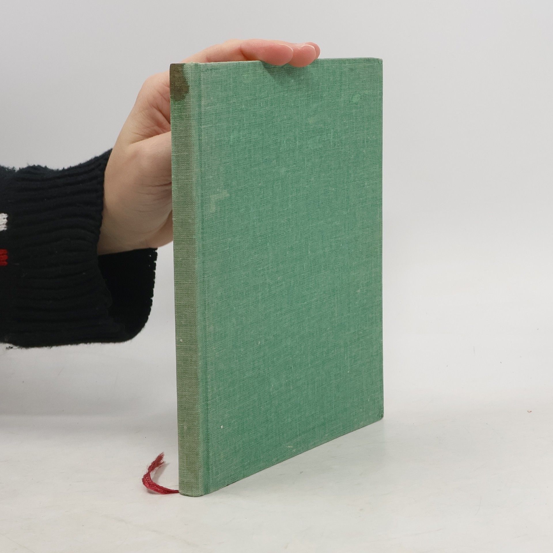 Andrej Dodin Svätý Vincent de Paul a milosrdenstvo