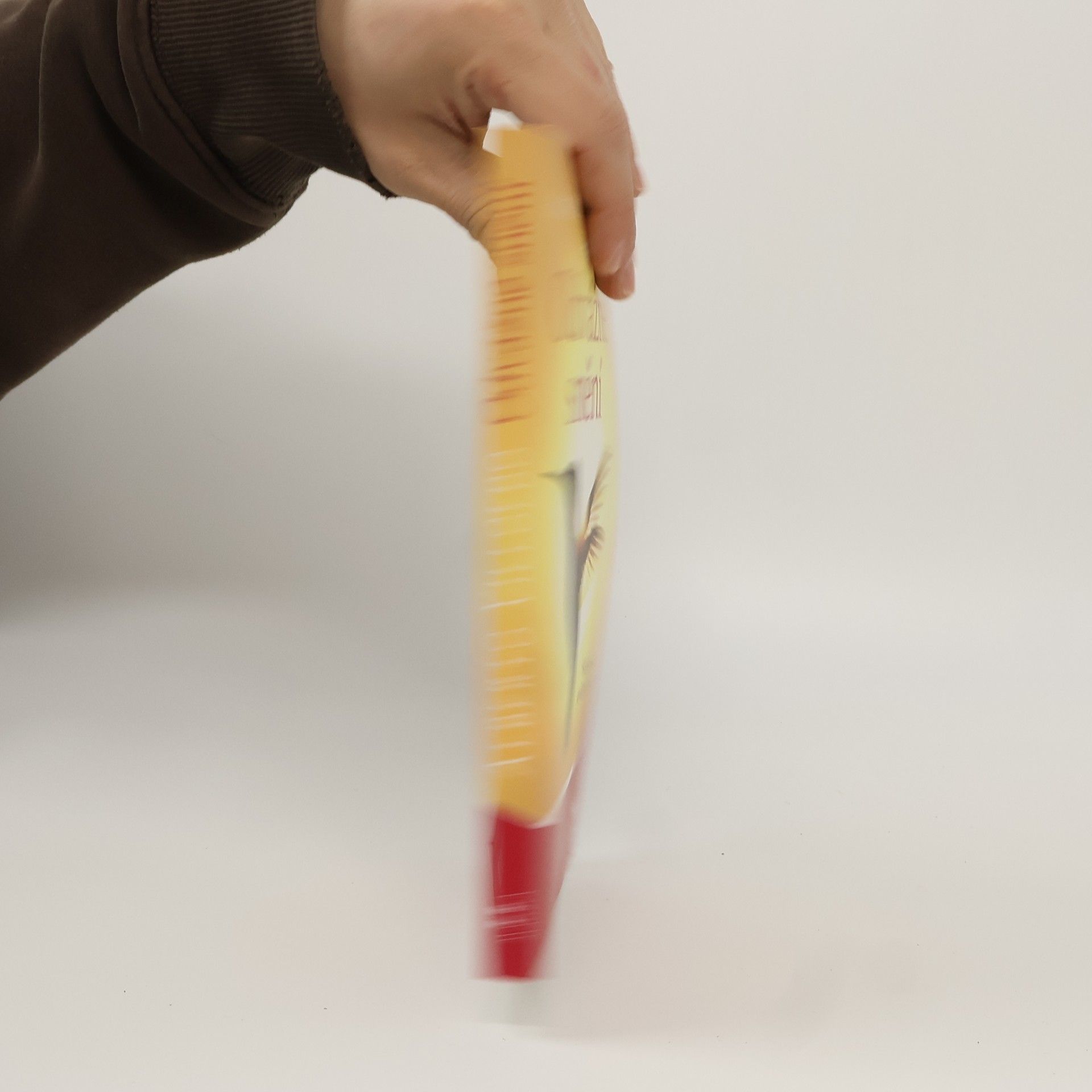 Odvážné snění : šamanské utváření reality