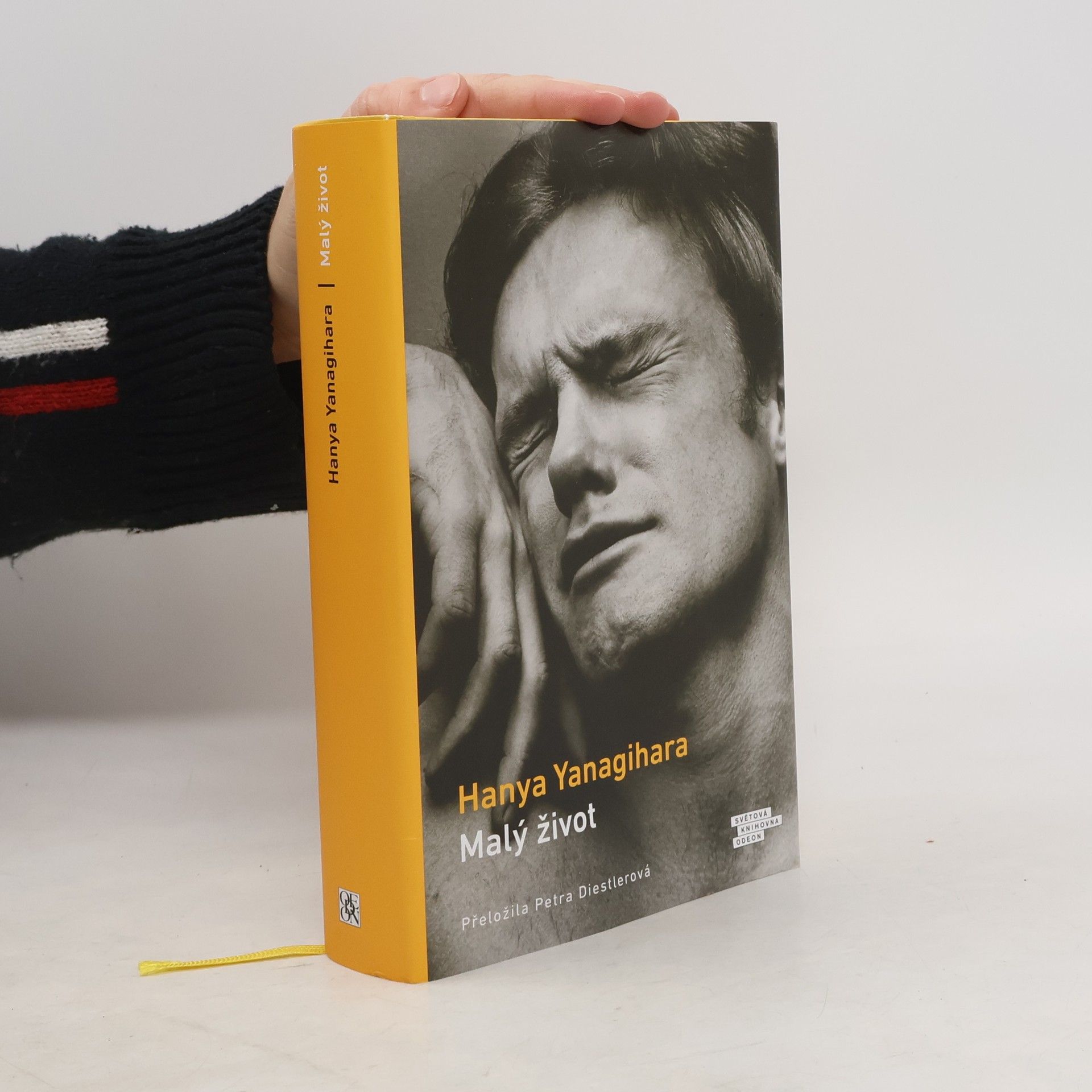 Hanya Yanagihara Malý život