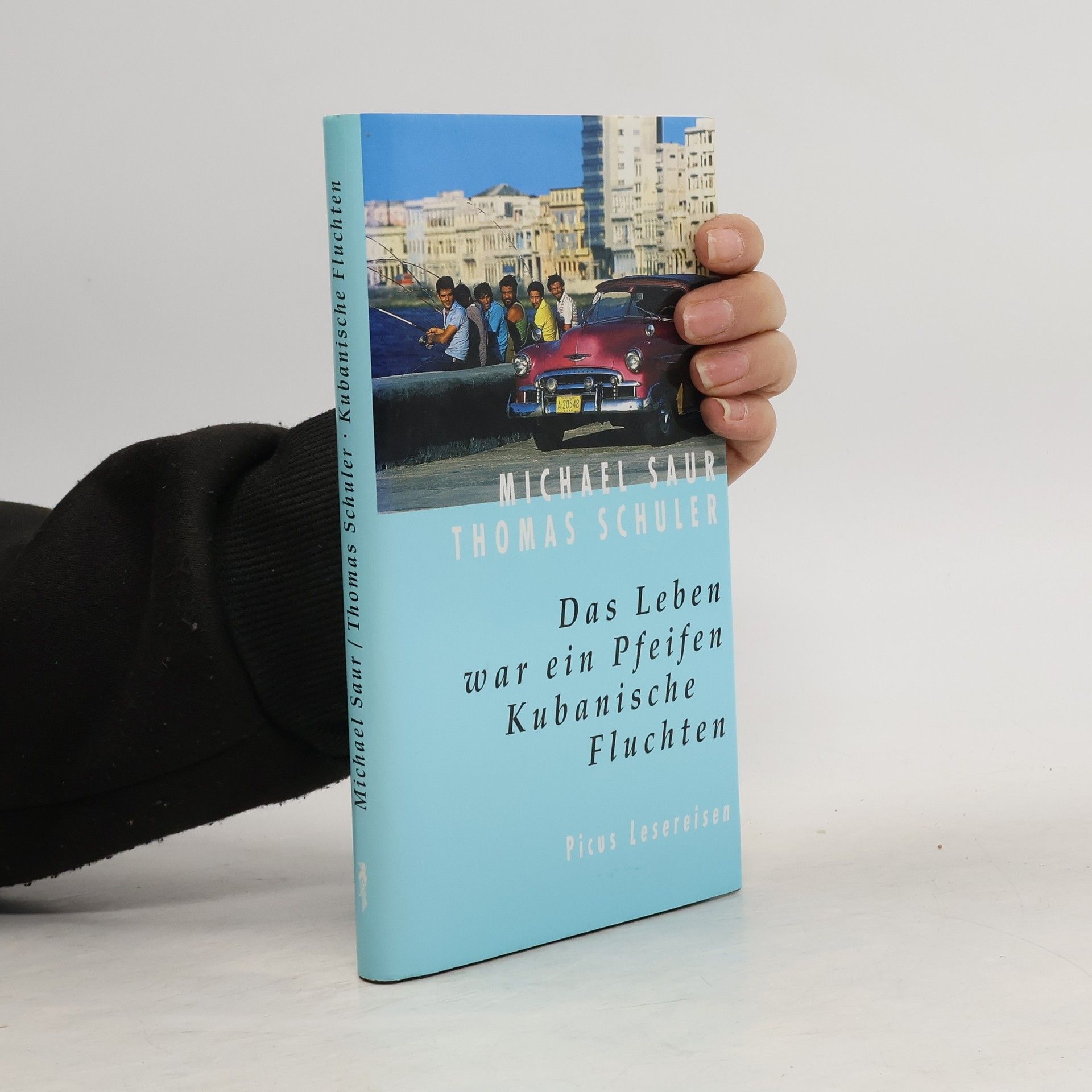 Michael Saur Das Leben war ein Pfeifen