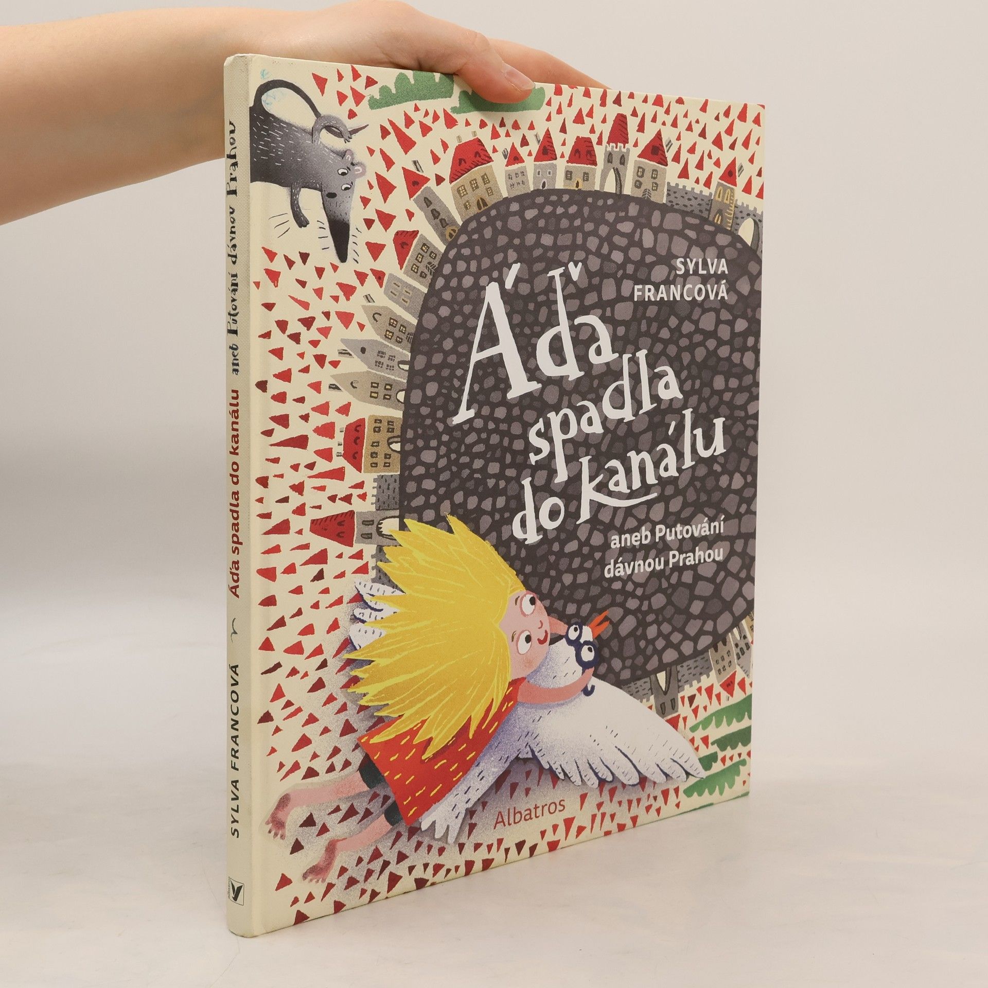 Albatros Áďa spadla do kanálu