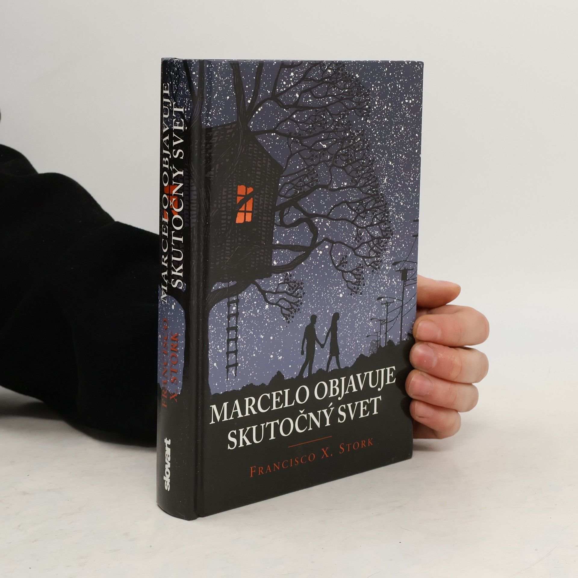 Francisco X. Stork Marcelo objavuje skutočný svet