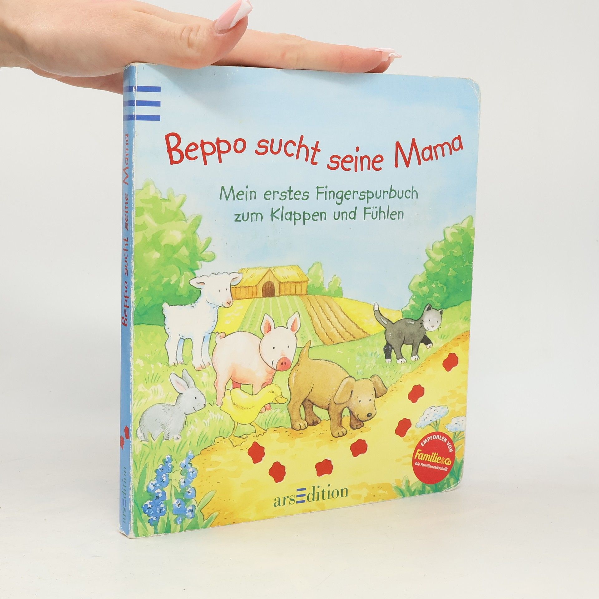 Corina Beurenmeister Beppo sucht seine Mama