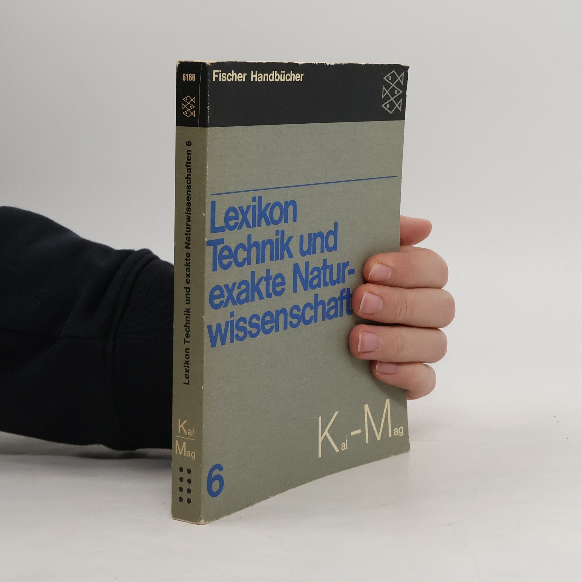 Kolektív autorov Lexikon Technik und exakte Naturwissenschaften