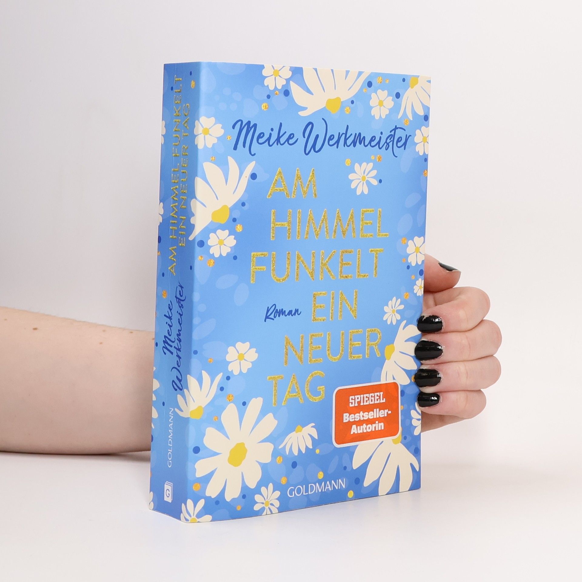 Meike Werkmeister Am Himmel funkelt ein neuer Tag