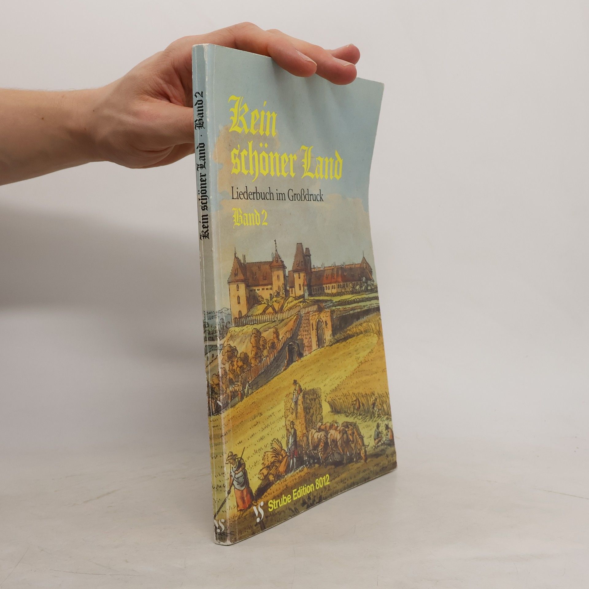 Kolektív autorov Kein schöner Land Liederbuch im Großdruck. Band 2