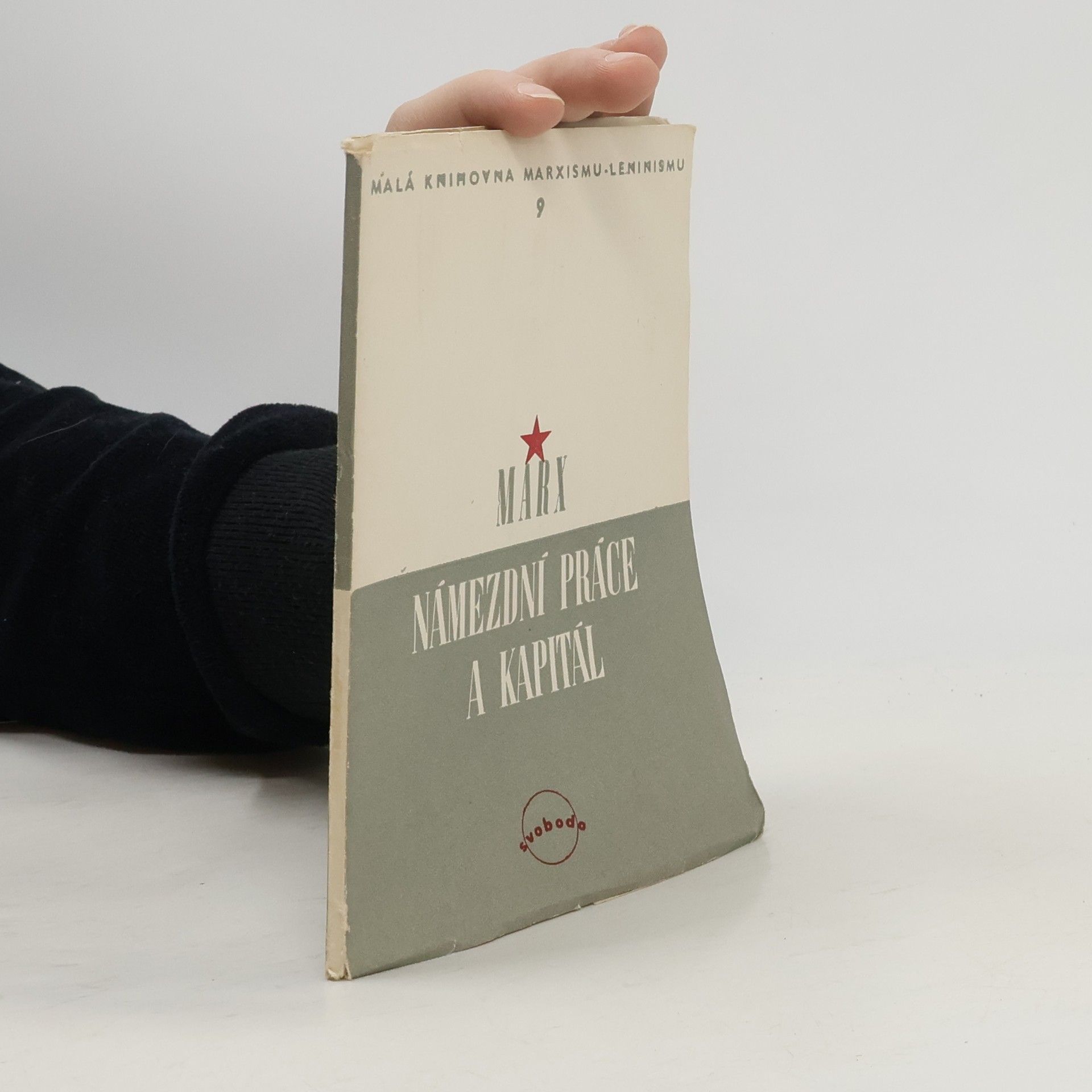 Karl Marx Námezdní práce a kapitál