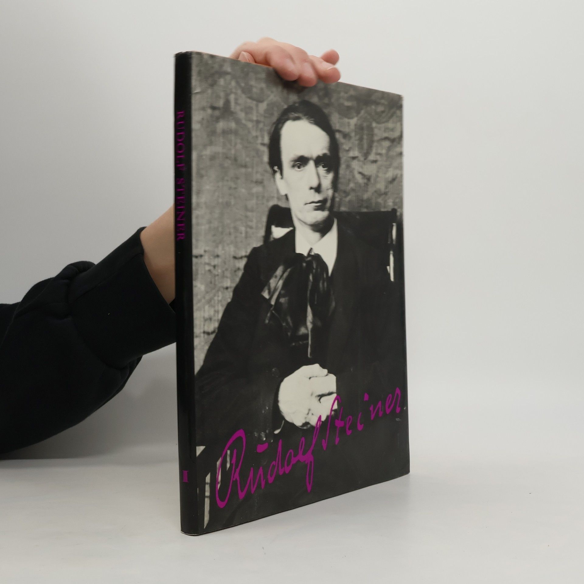 Das Wirken Rudolf Steiners 1907 bis 1917