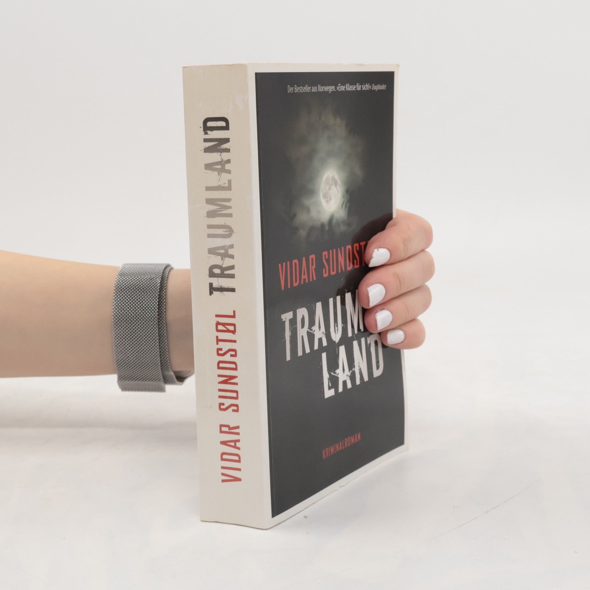 Vidar Sundstøl Traumland