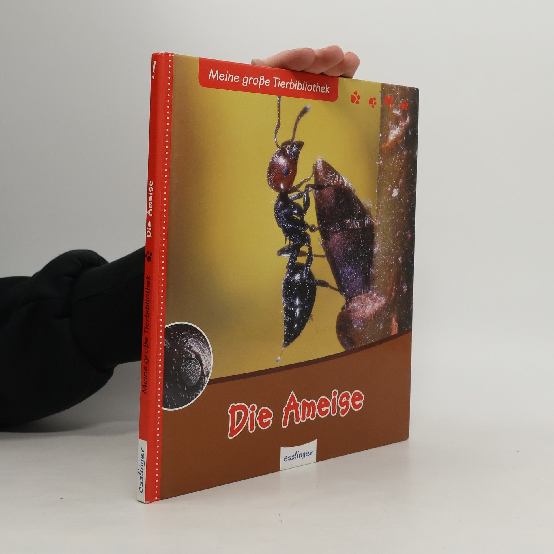 Luc Gomel Meine große Tierbibliothek: Die Ameise