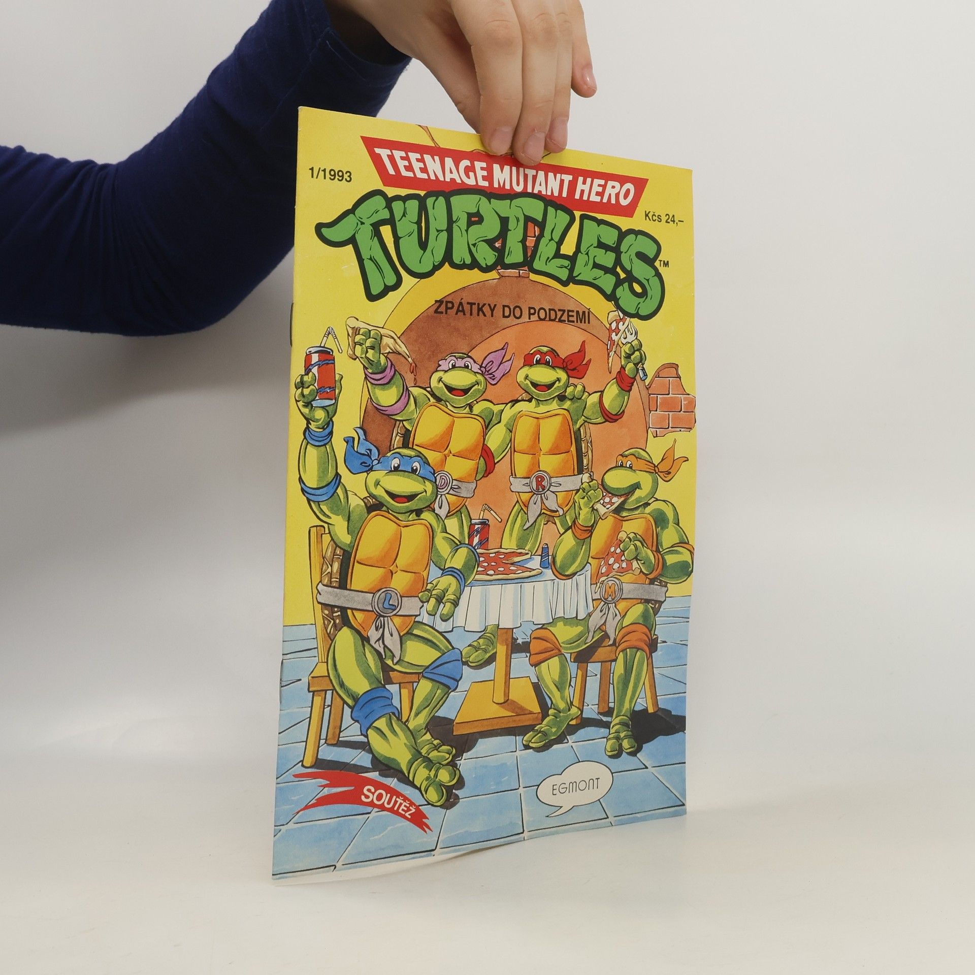 Dean Clarrain Teenage Mutant Hero Turtles #13