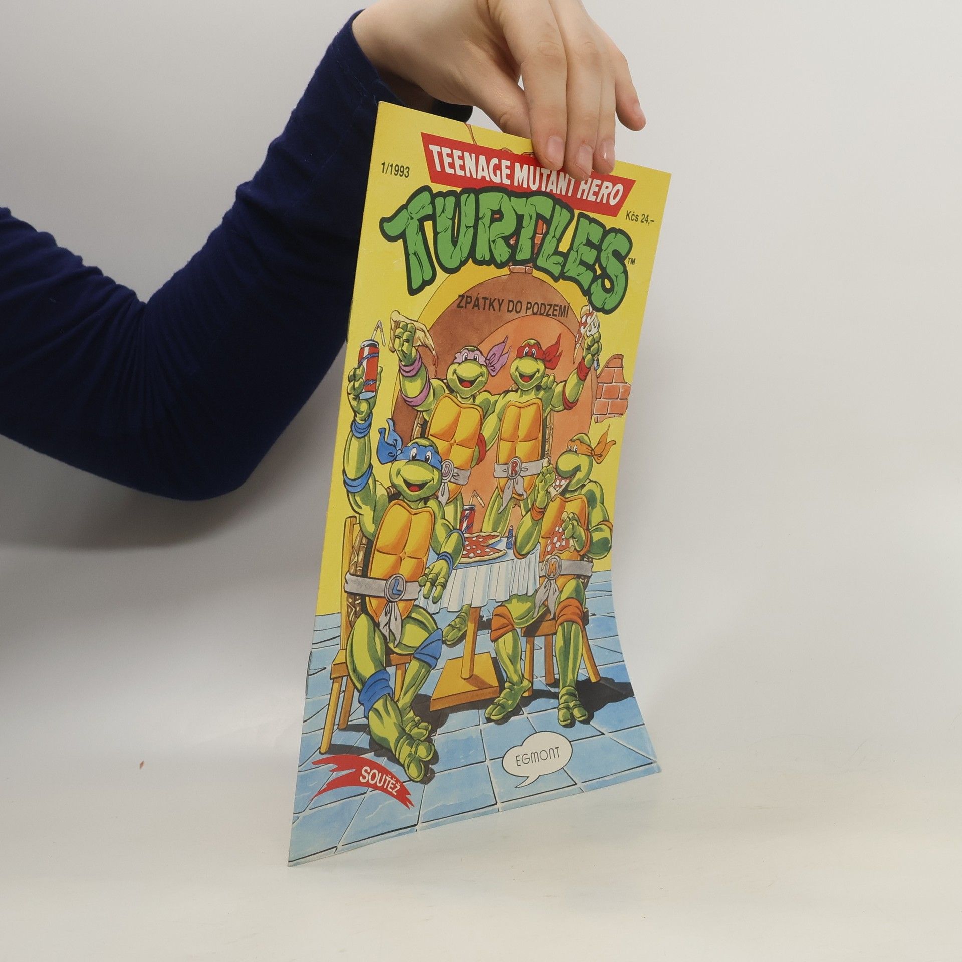 Dean Clarrain Teenage Mutant Hero Turtles #13