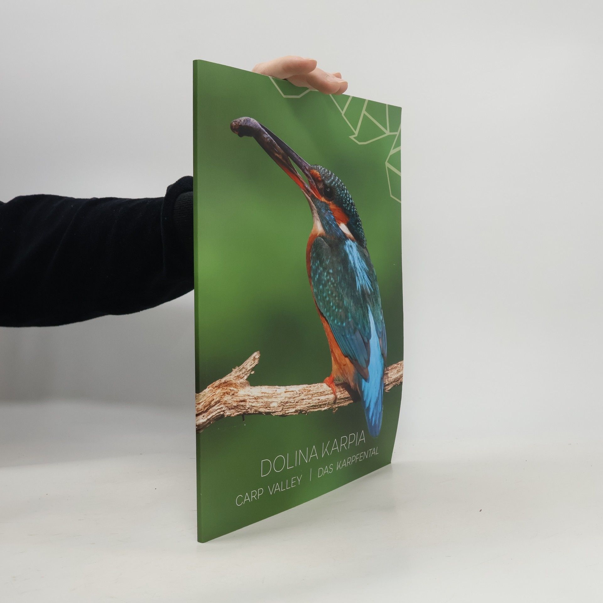 Collectif d'auteurs Dolina Karpia. Carp Valley. Das Karpfental