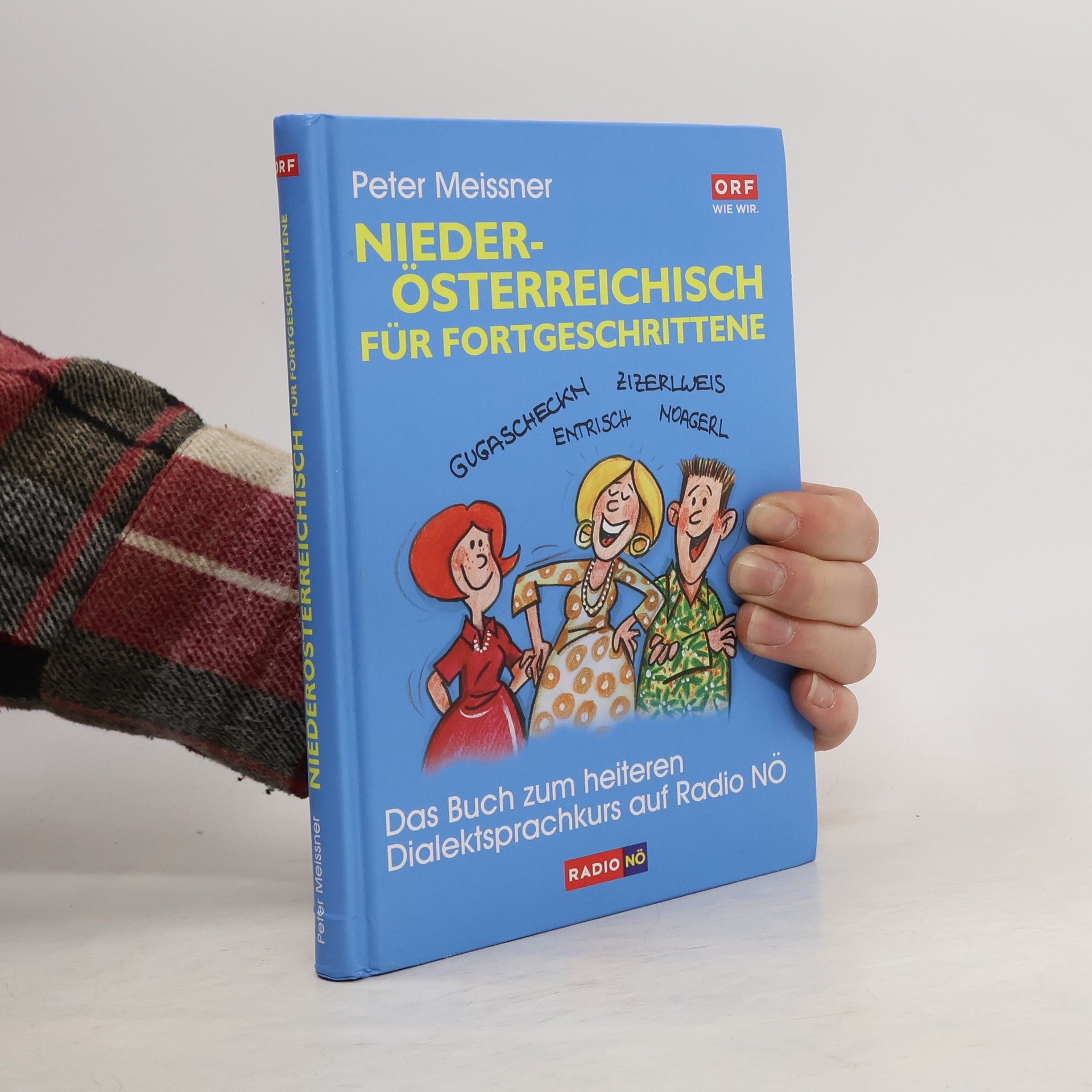 Niederösterreichisch für Fortgeschrittene