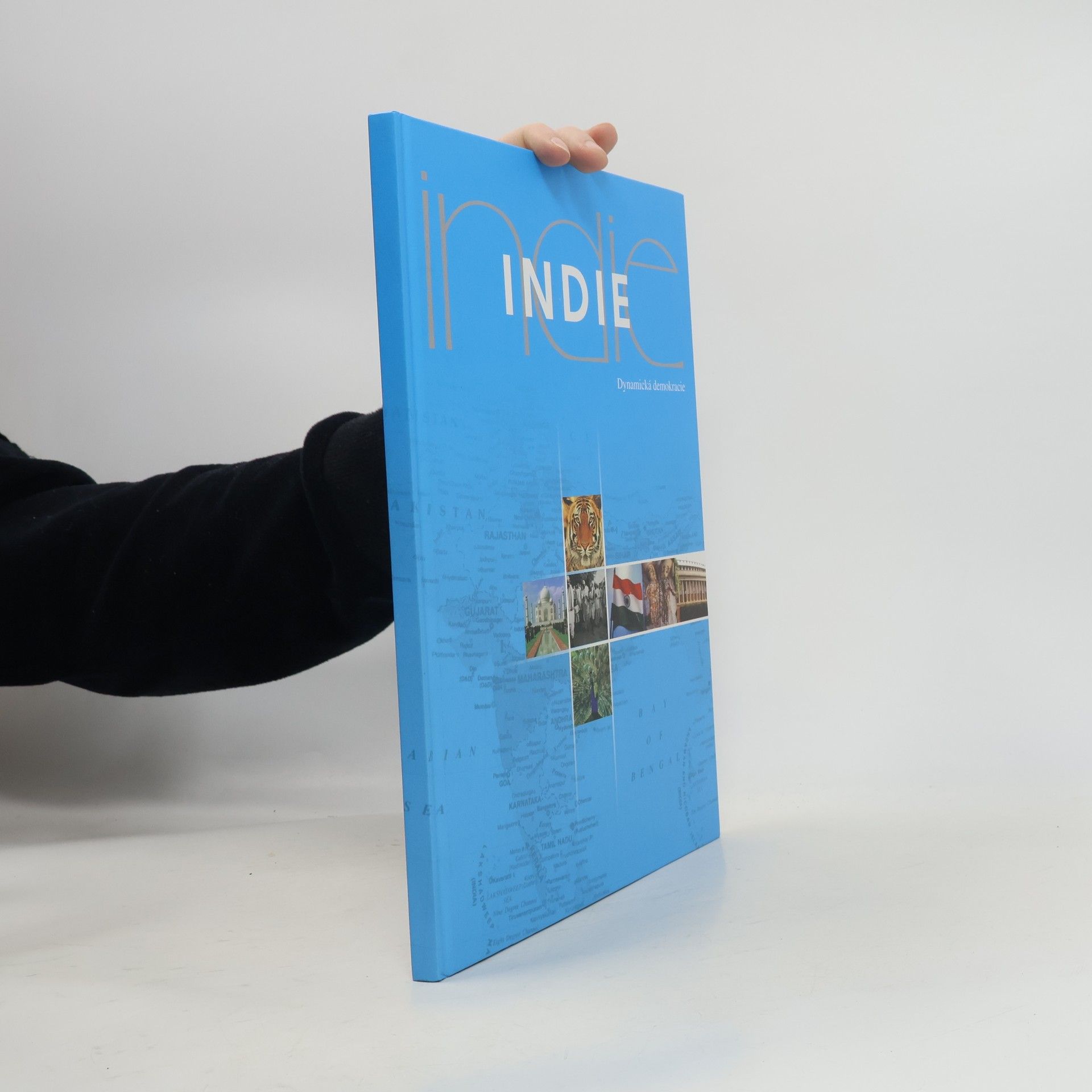 Collectif d'auteurs Indie. Dynamická demokracie