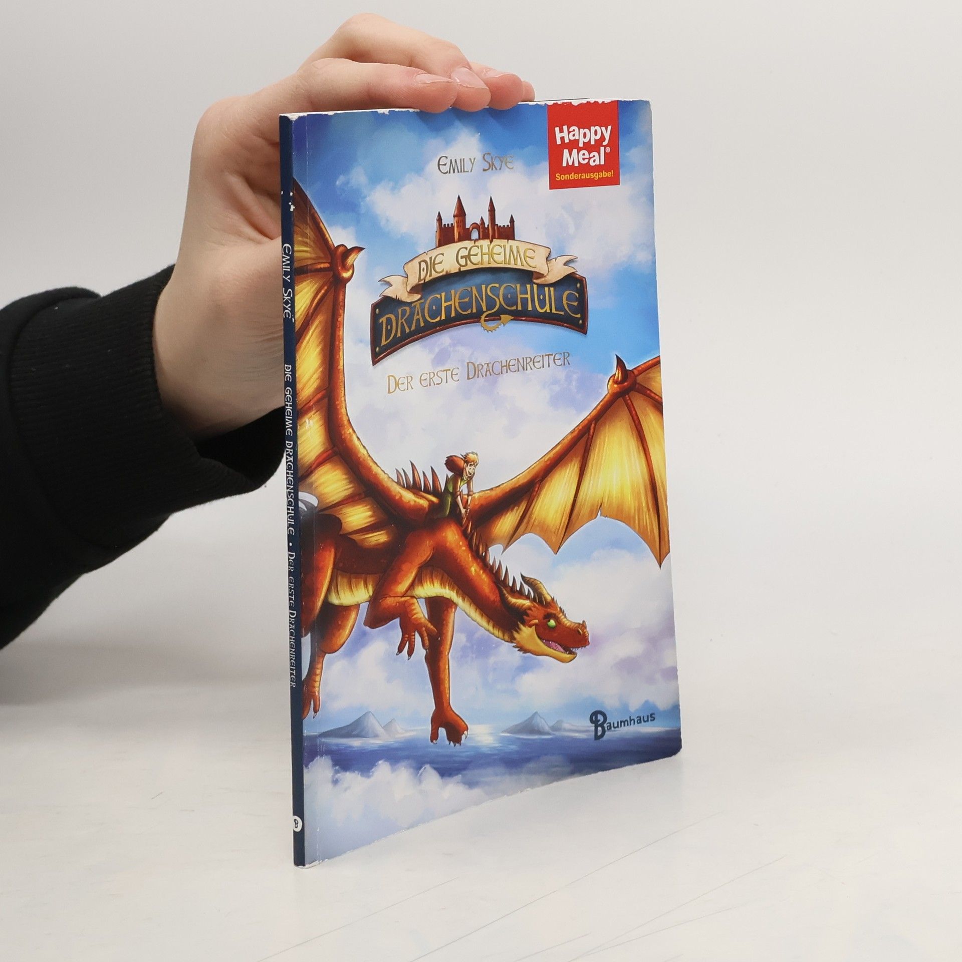 Emily Skye Die geheime Drachenschule. Der erste Drachenreiter