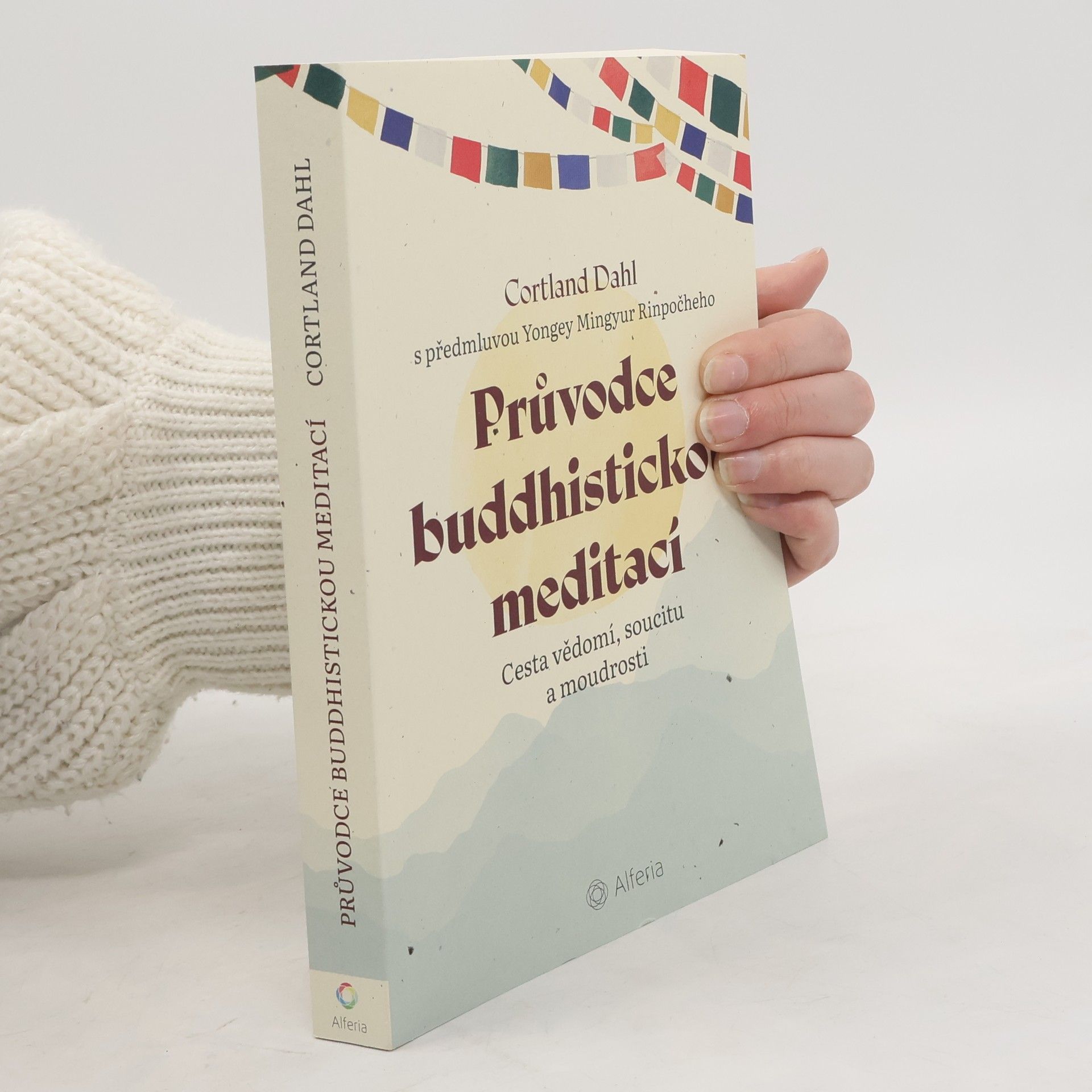 Cortland Dahl Průvodce buddhistickou meditací