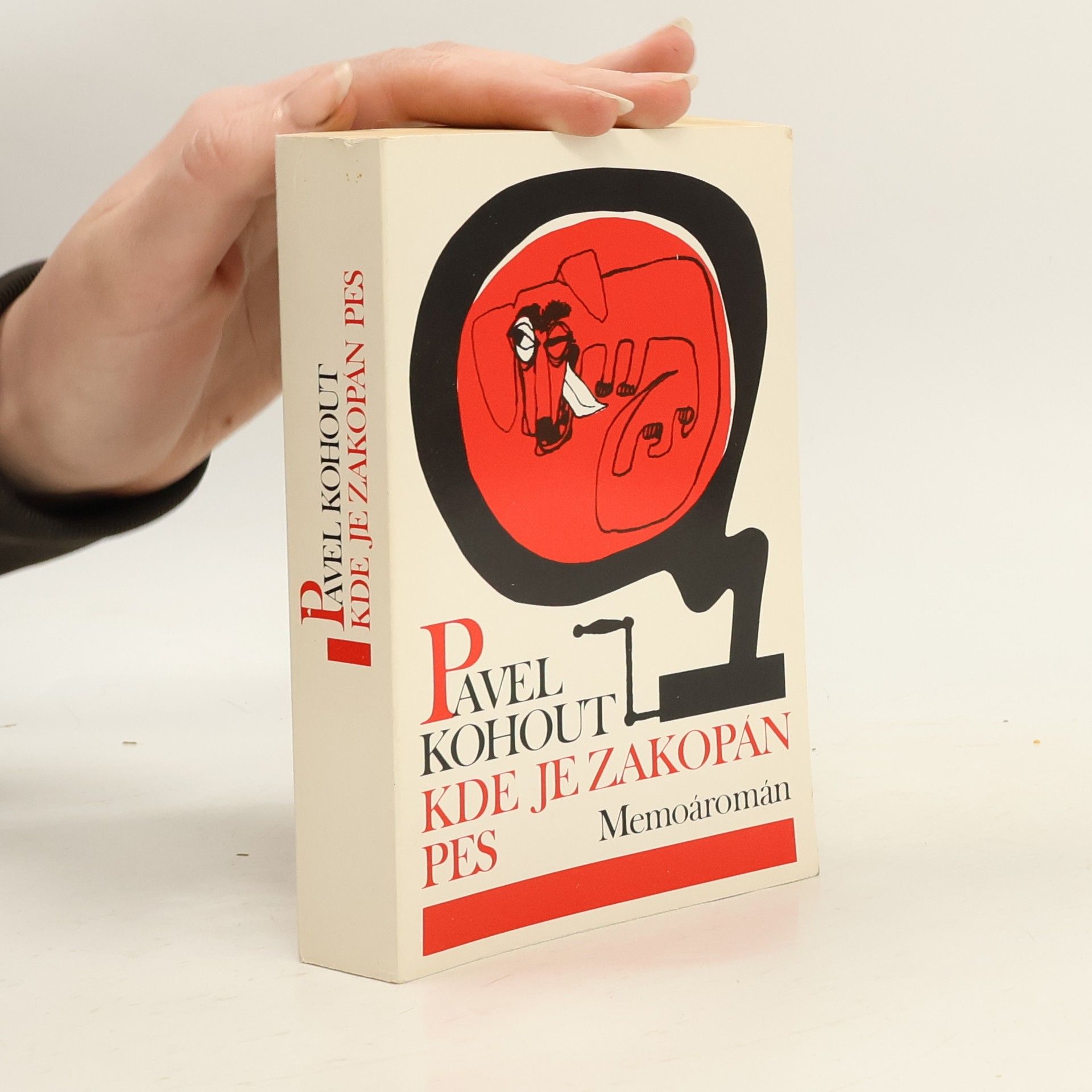 Pavel Kohout Kde je zakopán pes